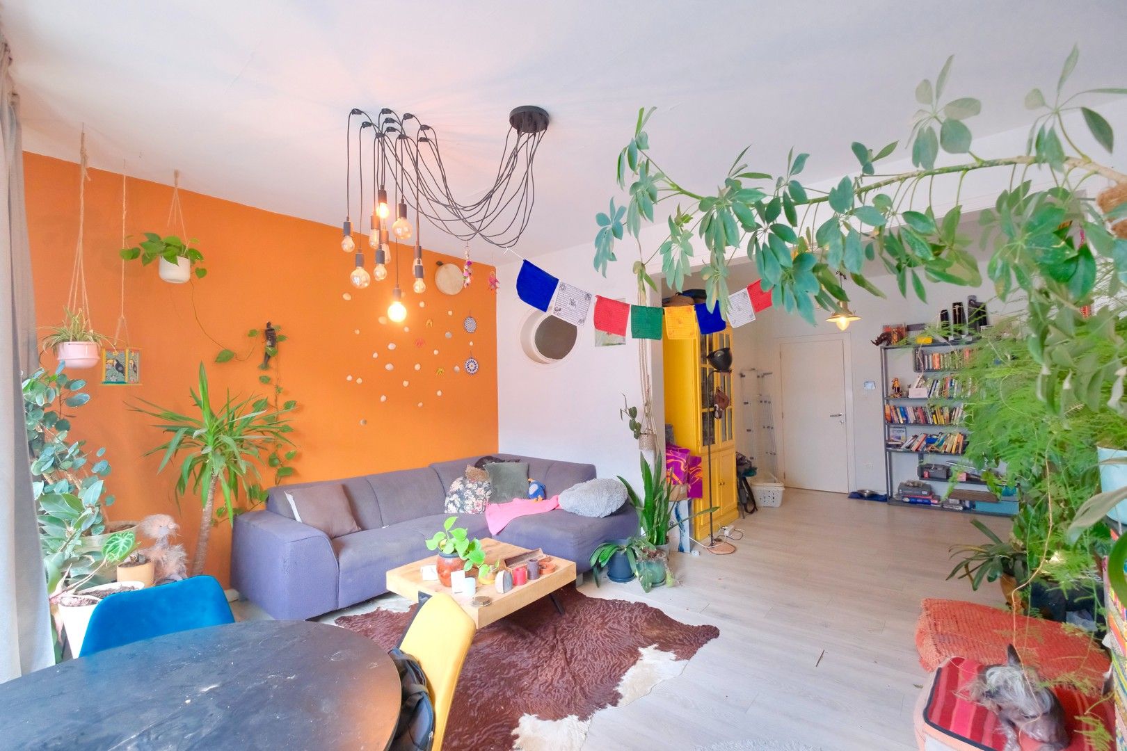 Lichtrijk dakapp. centrum Antwerpen met zicht op binnentuin! foto 4