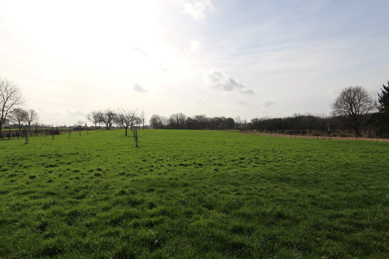 Landelijk gelegen hoeve op 40 are - Te renoveren - met goedgekeurde vergunning foto 17