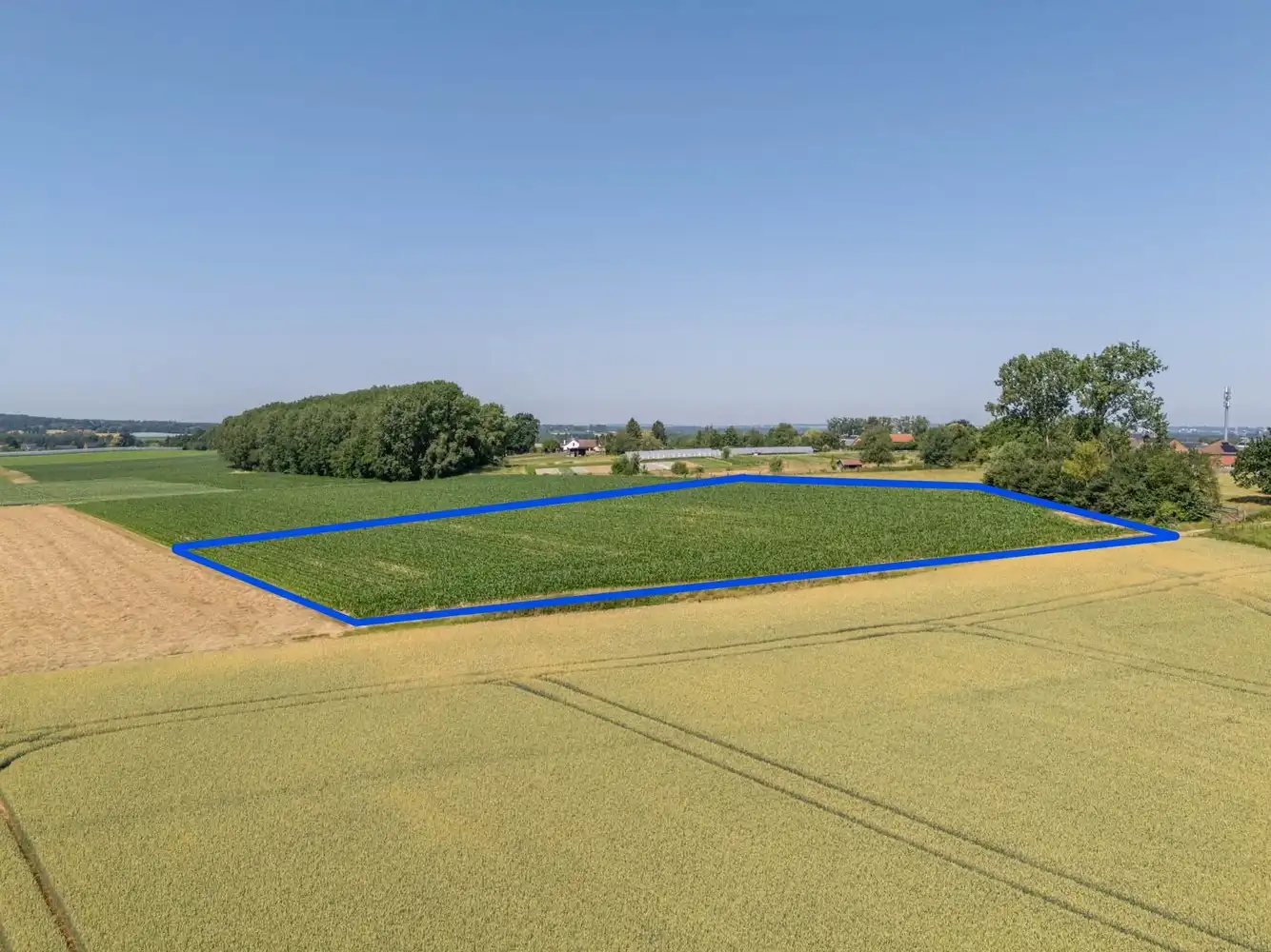 1,6ha verpachte (nog 7 jaar) landbouwgrond te koop foto 19