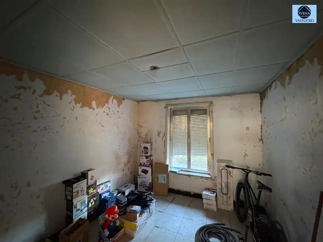 PROJECTGROND foto 9