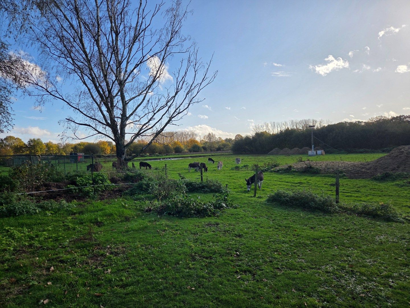 Woning met 3 slpks, schuur met 3 stallen en weiland op 2.288 m² nabij Geel-centrum ! foto 28