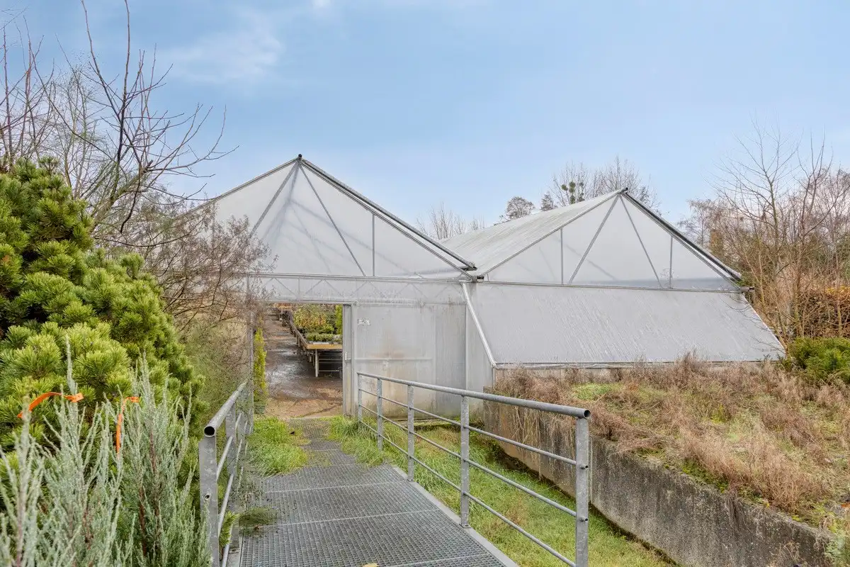 Tuinbouwcentrum met ruime woning op een perceel van 4,26 hectare foto 10
