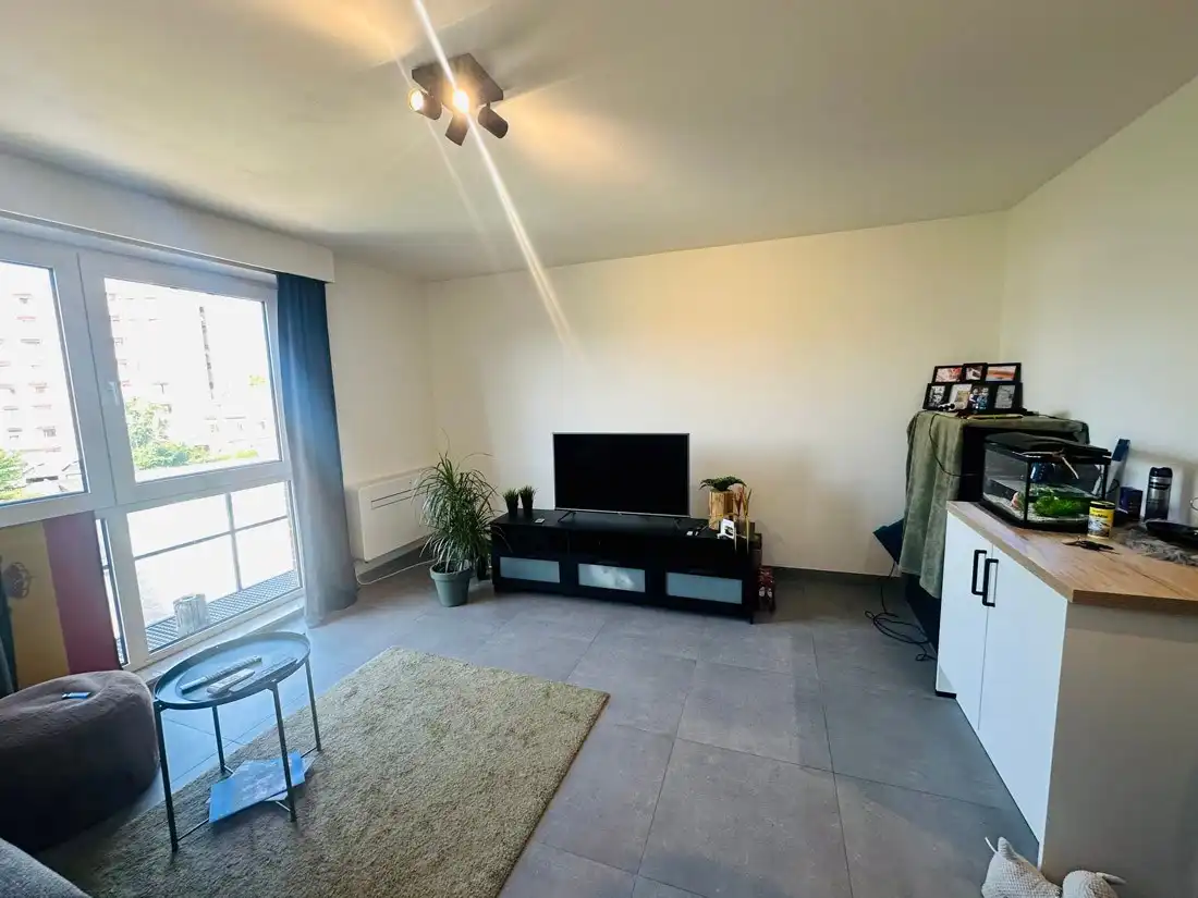 Gezellige gerenoveerde studio dichtbij het centrum van Hasselt foto 2