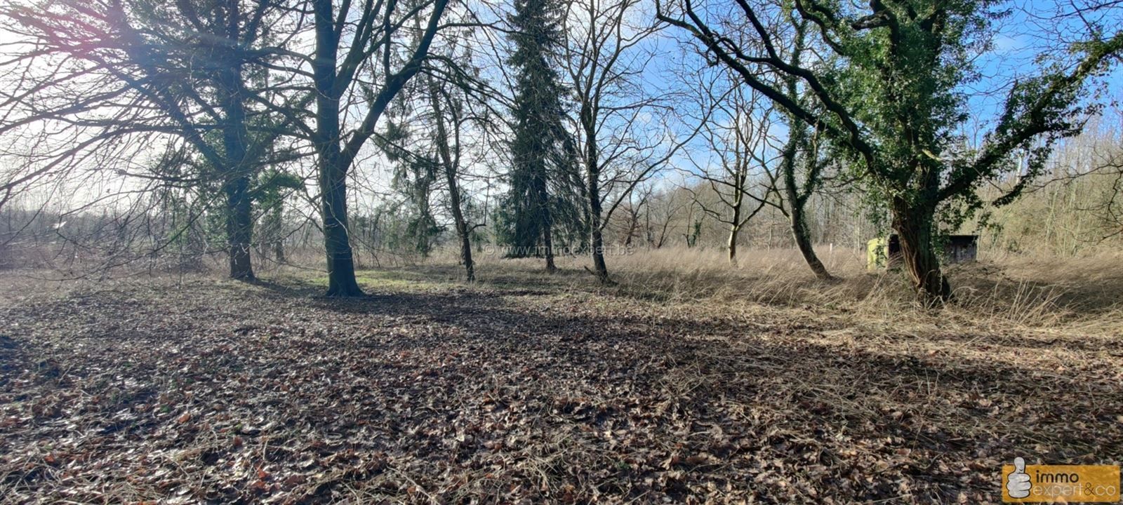 Uitzonderlijk vastgoed: Landhuis De Kluis foto 11