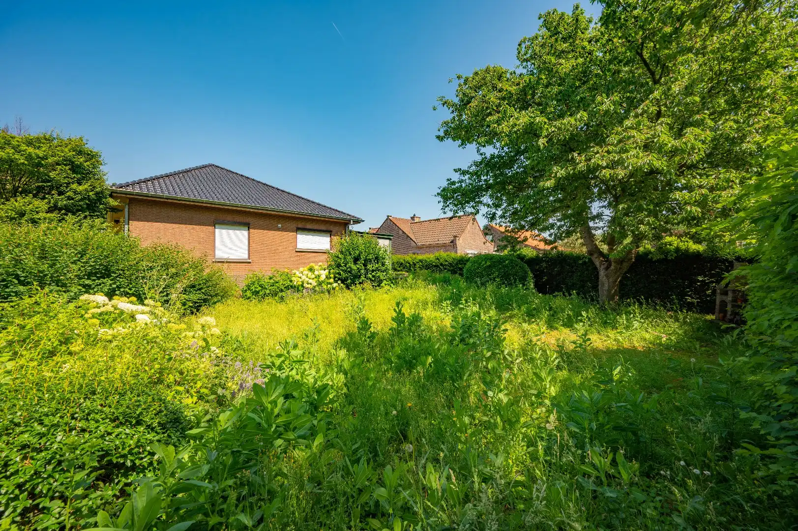 Ruime open bebouwing met 3 slaapkamers in een zeer rustige omgeving te Ezemaal (Landen) foto 26