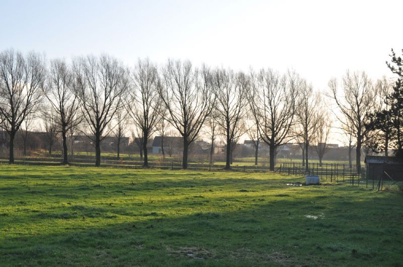 Rustig gelegen villa met zuidgerichte tuin en prachtig zicht op de Leieboorden. foto 5