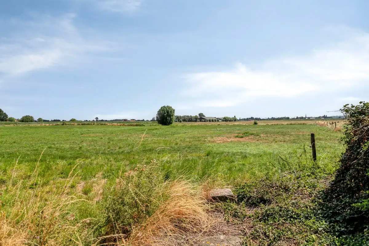 Te renoveren hoeve met landbouwgrond te koop in Wervik!  foto 14