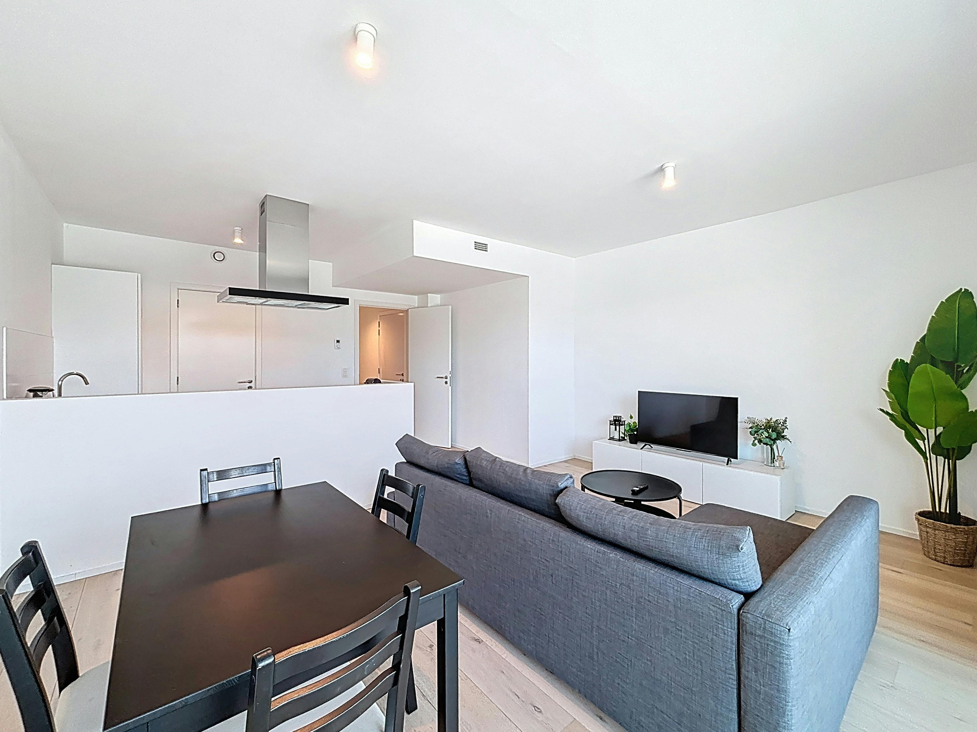 Gemeubileerd appartement te huur in hartje Brussel foto 6