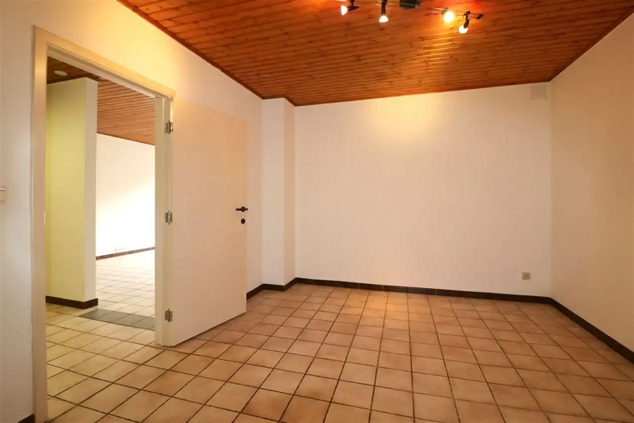 charmant, ruim, mogelijkheid beroep of kangoeroe foto 34