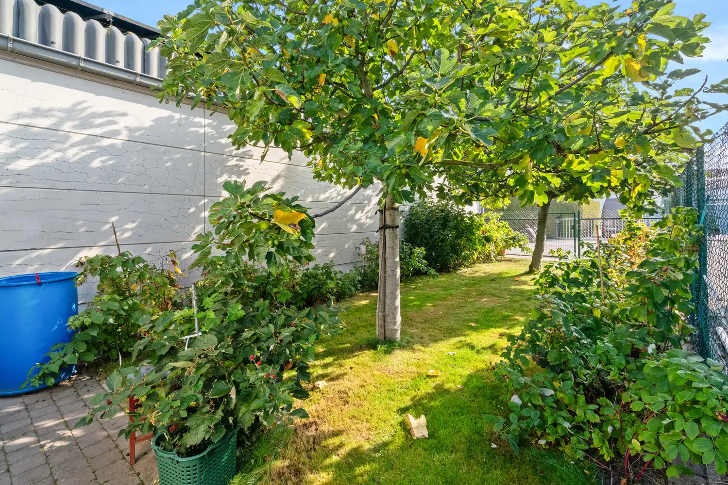 Alleenstaande woning met atelier te Meulebeke. foto 31