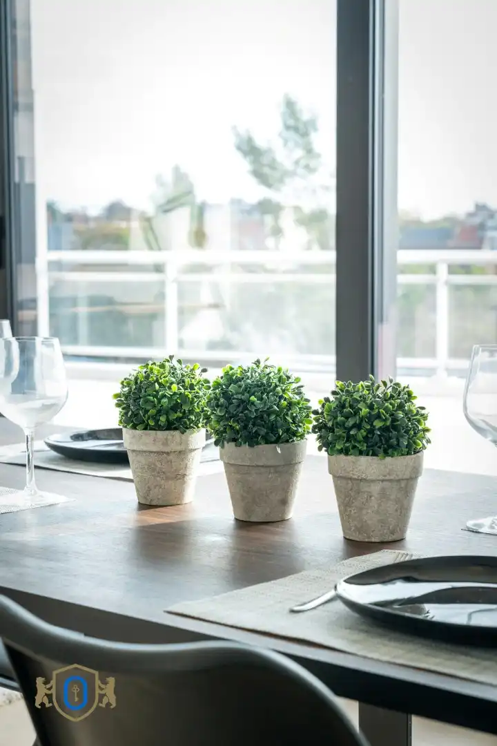 Instapklaar 1-slpkr appartement met terras foto 11