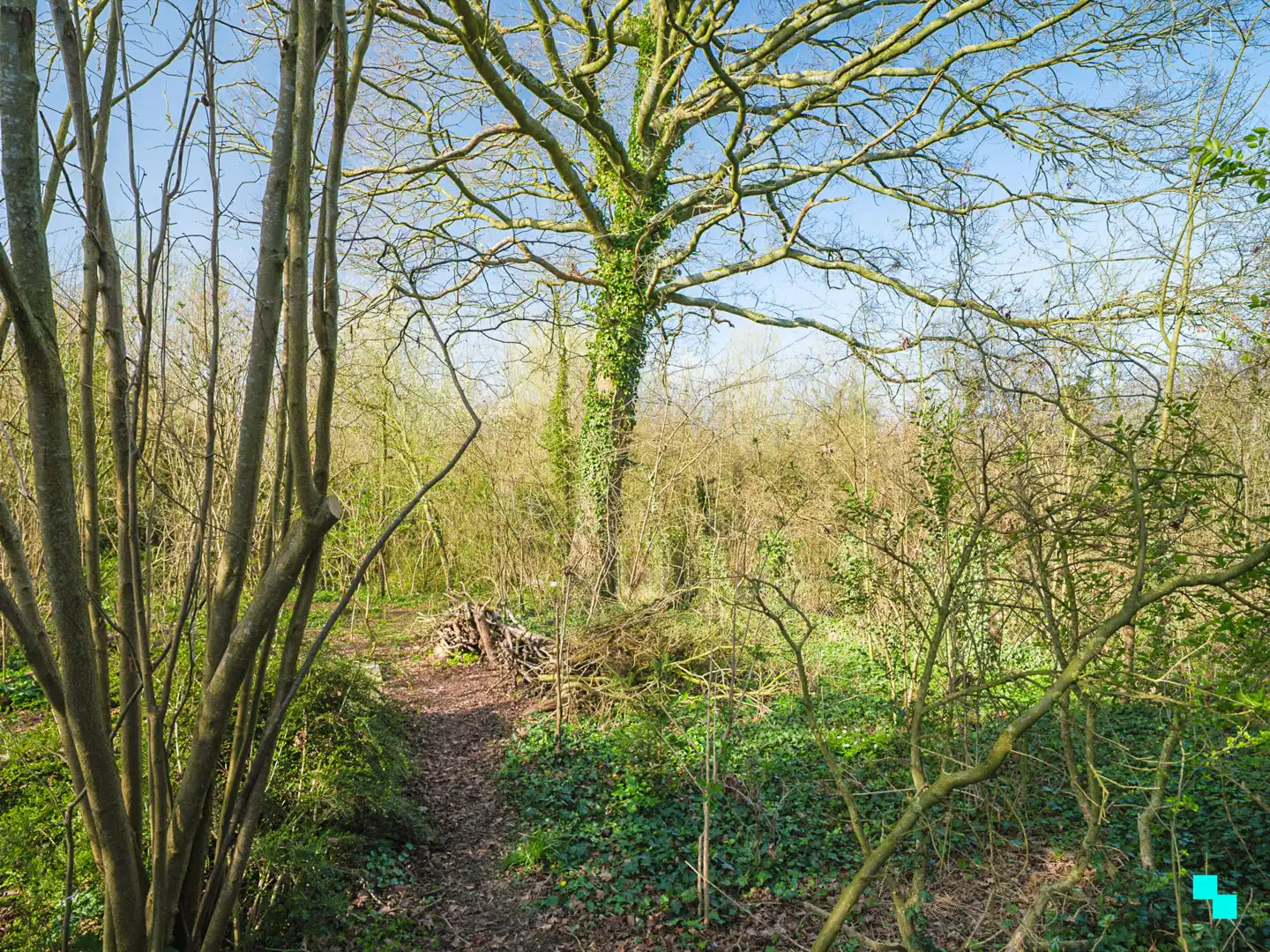 Te renoveren woning met garage en unieke tuingrond grenzend aan het bos foto 24