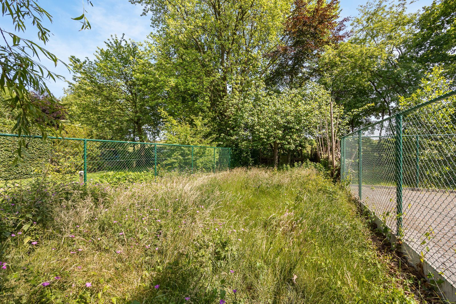 Te renoveren woning met potentieel in groene, rustige omgeving te Brasschaat! foto 19