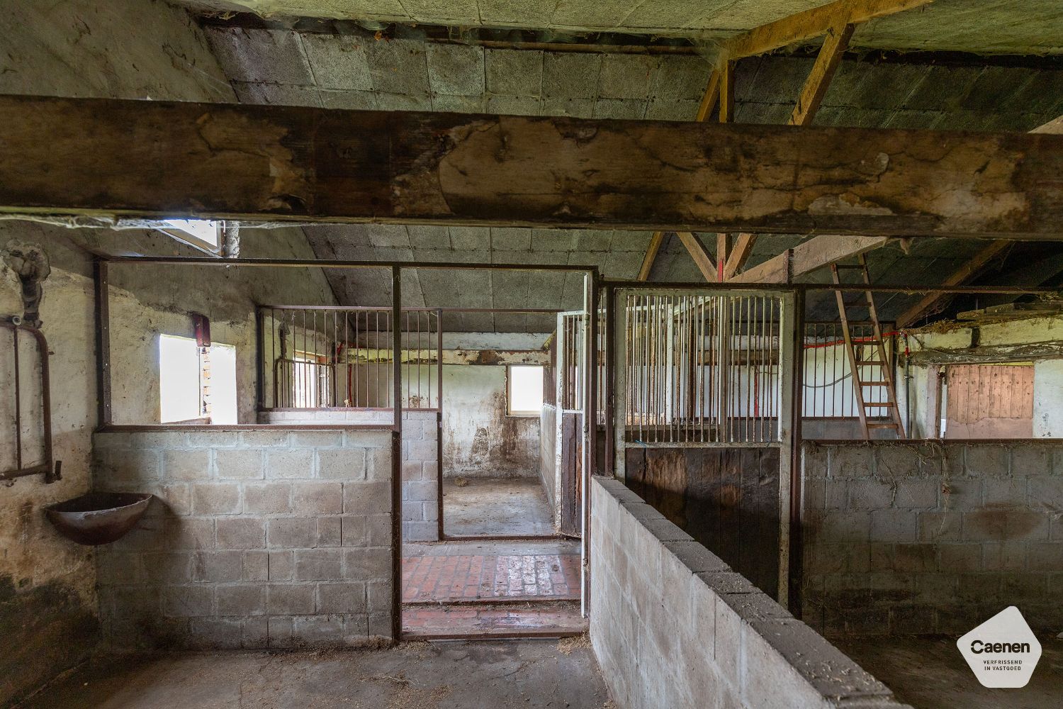 Exclusieve landelijke woning op een mooi perceel van 19869 m² en magnifieke bijgebouwen van bij benadering 1000 m² foto 22