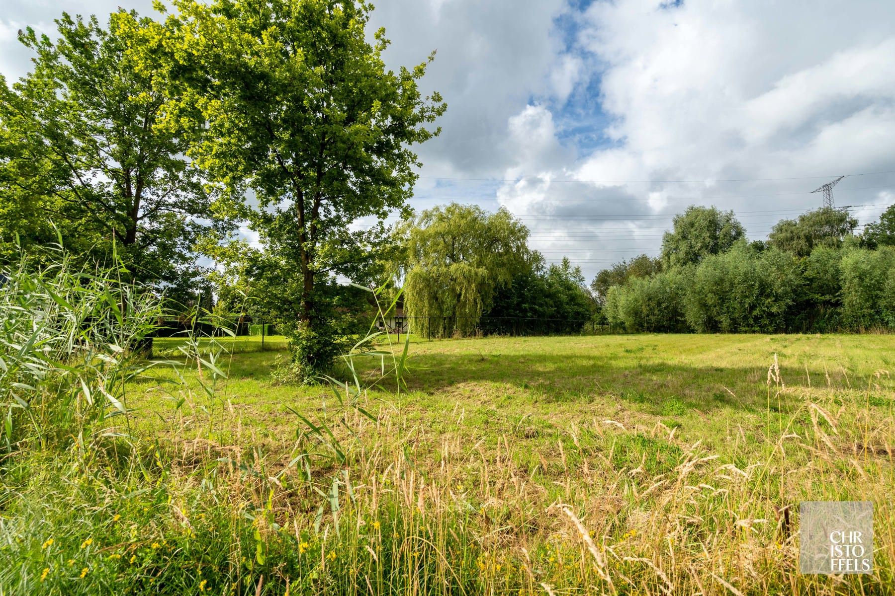 Bouwgrond van 1.218m² voor vrijstaande bebouwing nabij Hasselt centrum!  foto 5