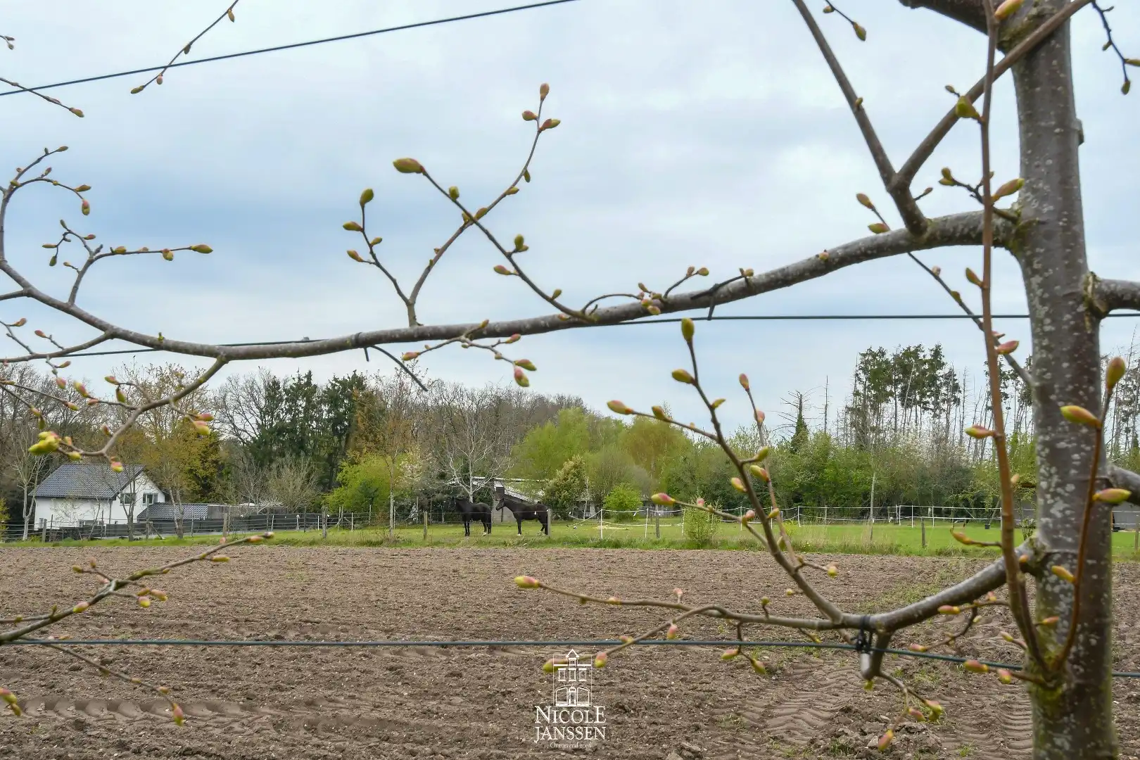 Woning met inpandige zorgwoning foto 26