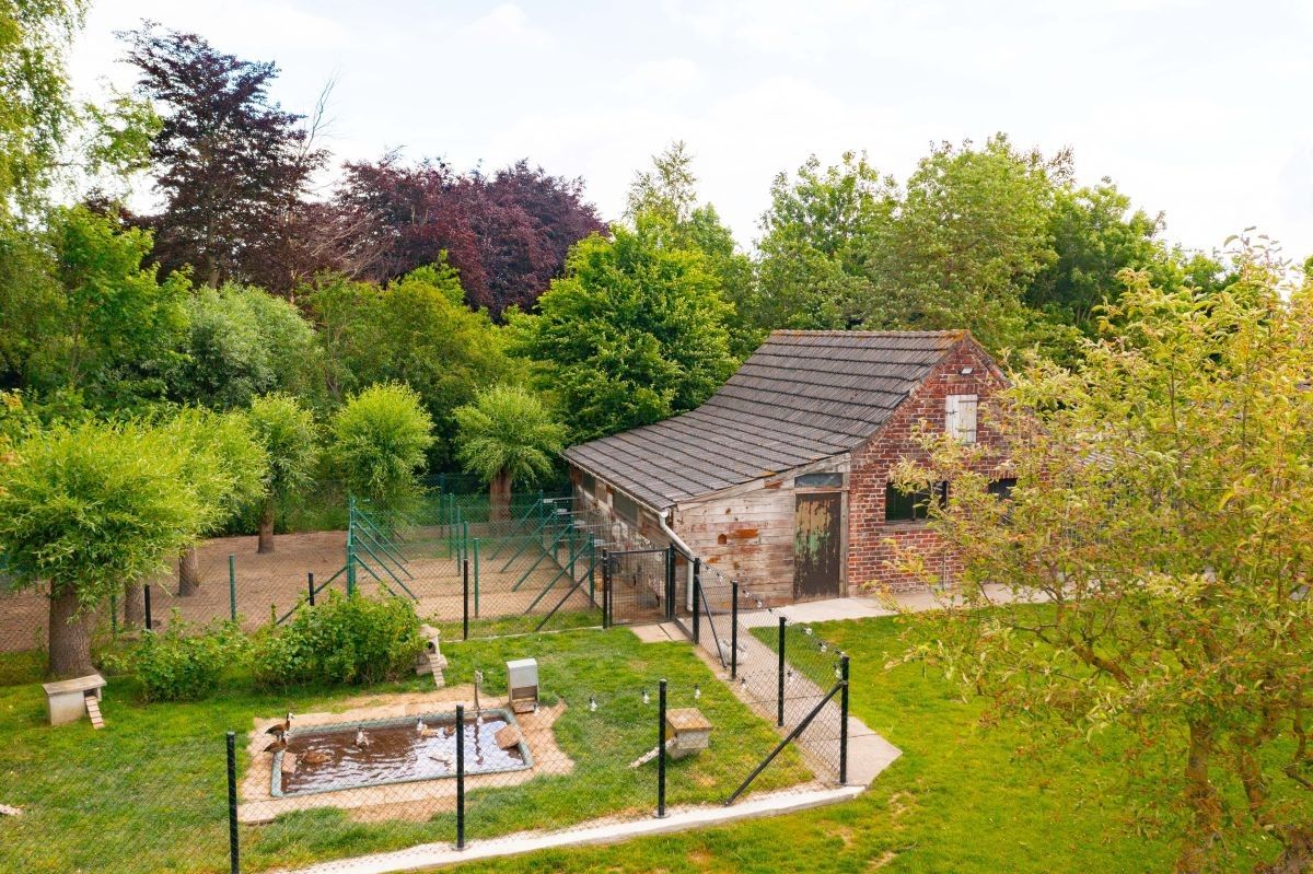 Hoevetje met residentiële woning en stallen te koop op 1 ha te Staden en Hooglede foto 5