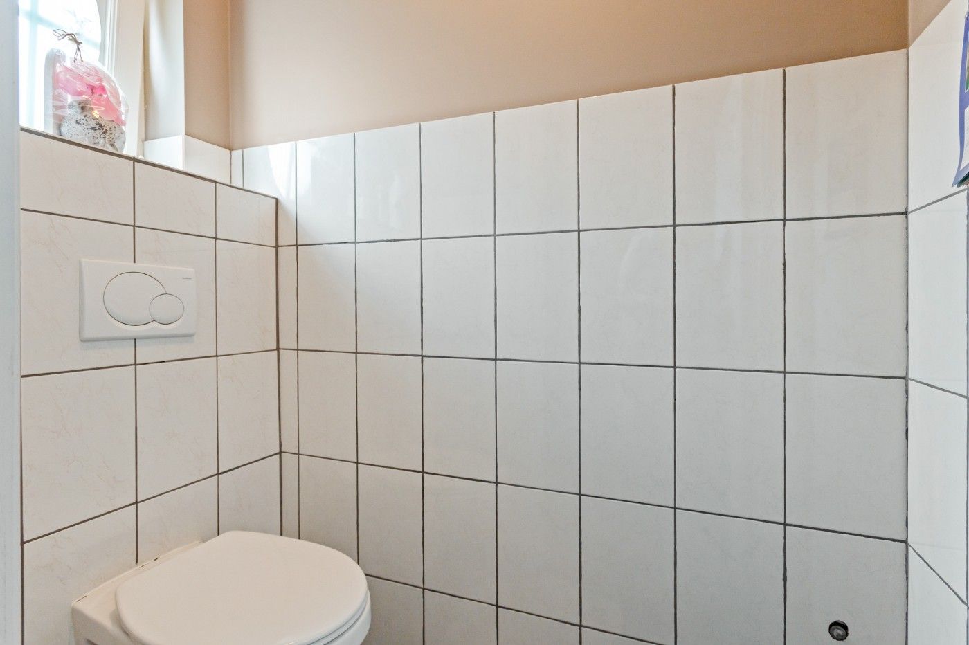 Recente, grote HOB met 4+ slpk., dubbele garage, weide en stallen foto 13