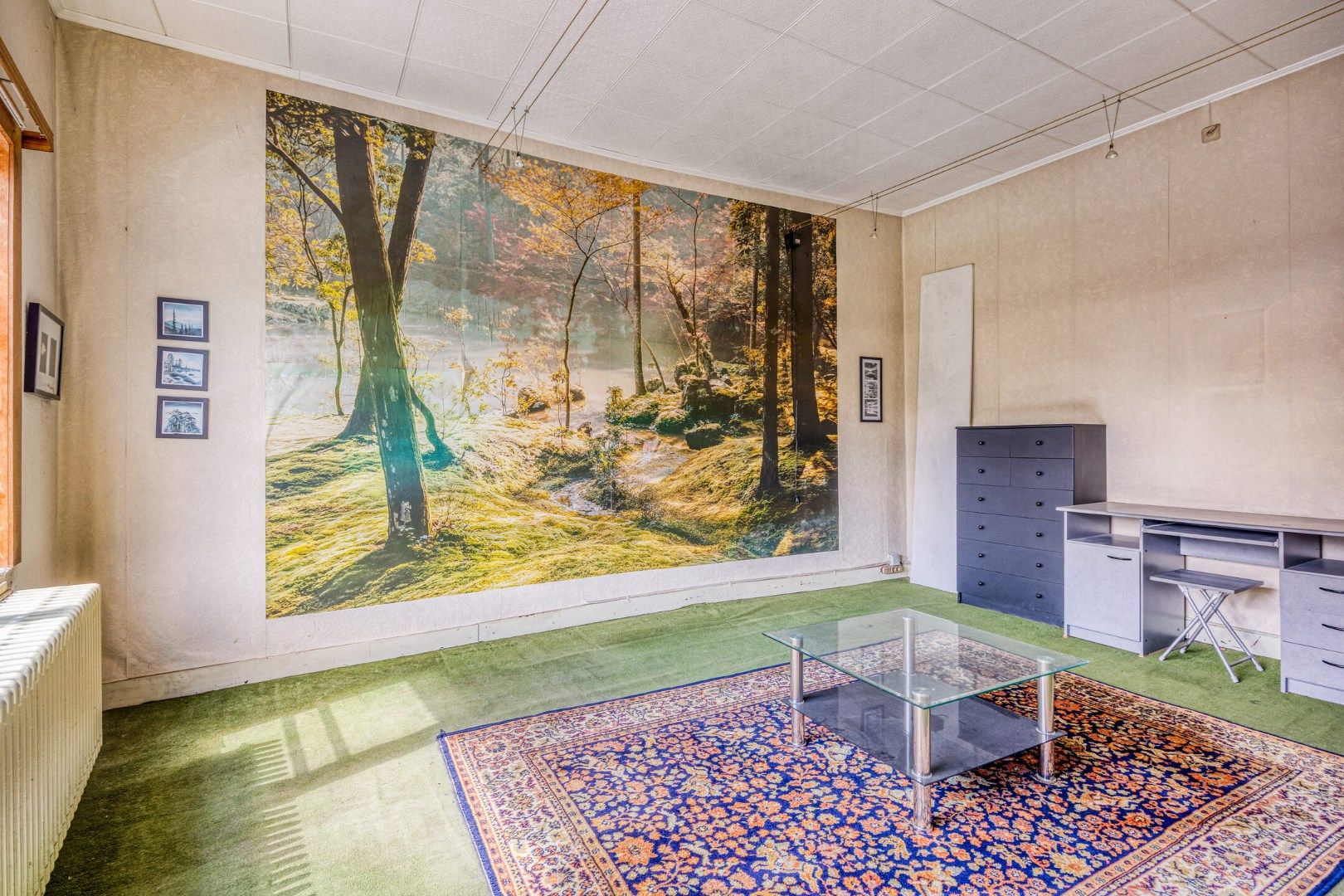 Ruime gezinswoning met veelzijdige indeling en tuin in de Platte Lostraat – EPC 697 kWh/m² – bewoonbare oppervlakte 259 m² foto 22