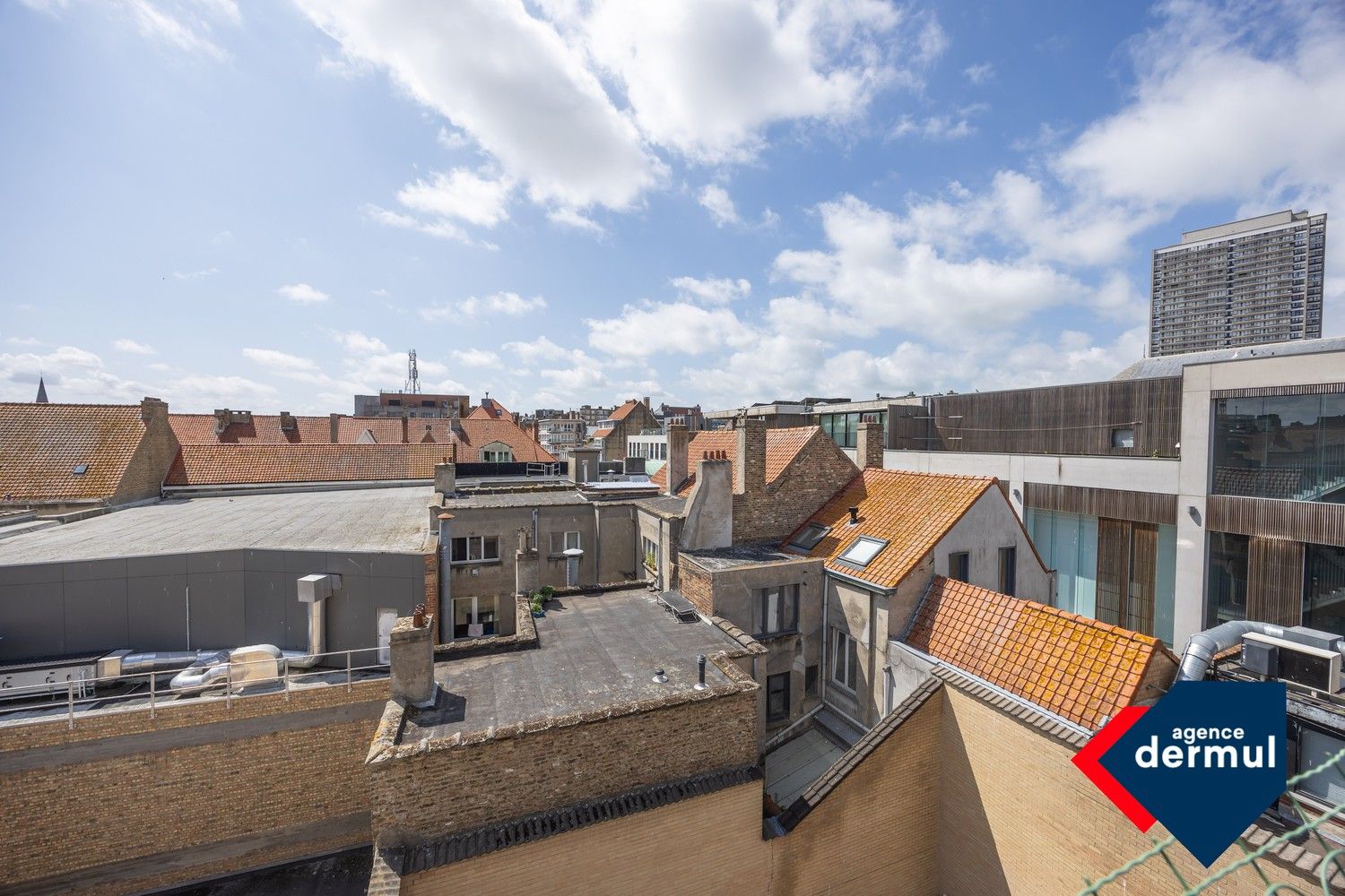 RESIDENTIE DAVID TENIERS foto 13