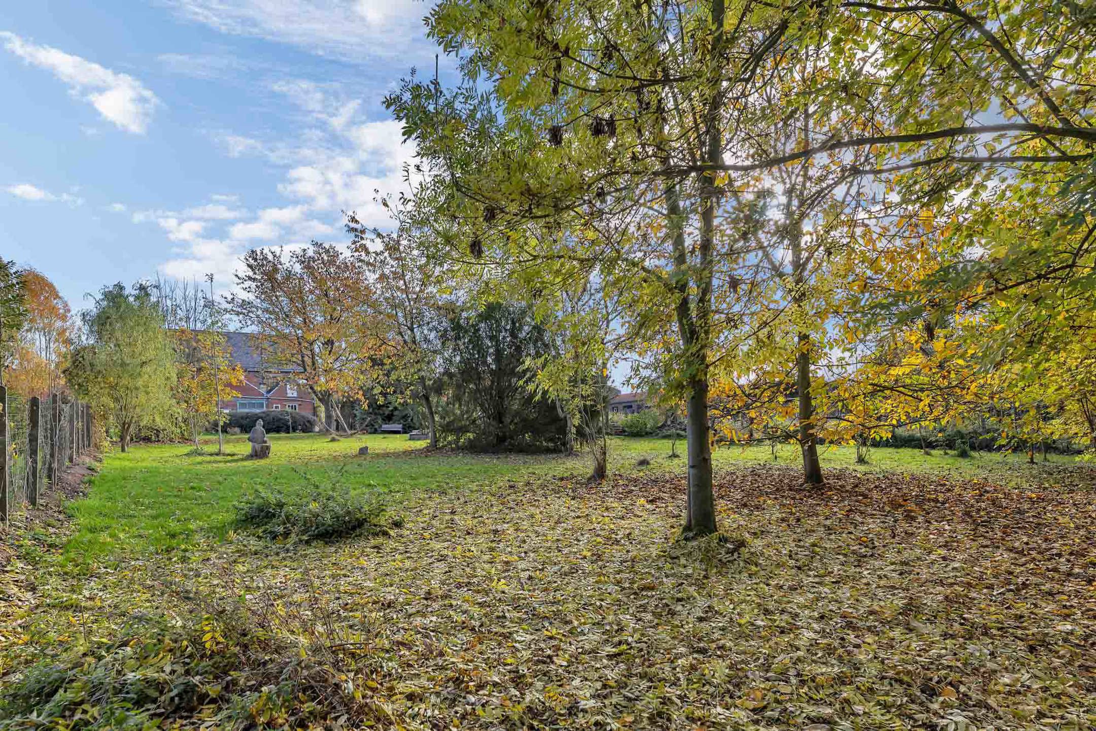 Woning met loods en 510 m² bewoonbare oppervlakte in Velzeke foto 28