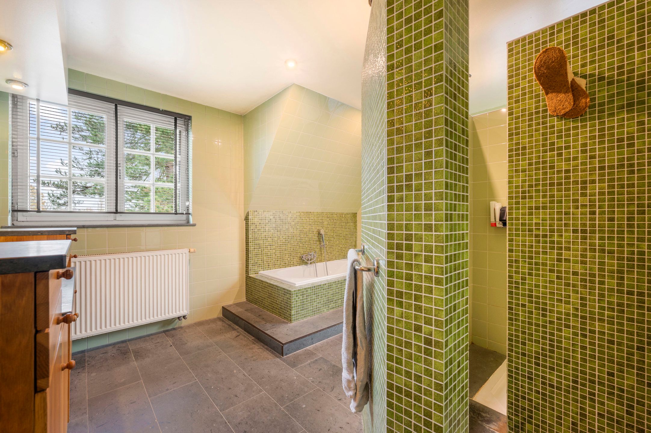 RIJKEVORSEL - Villa met tuin foto 16