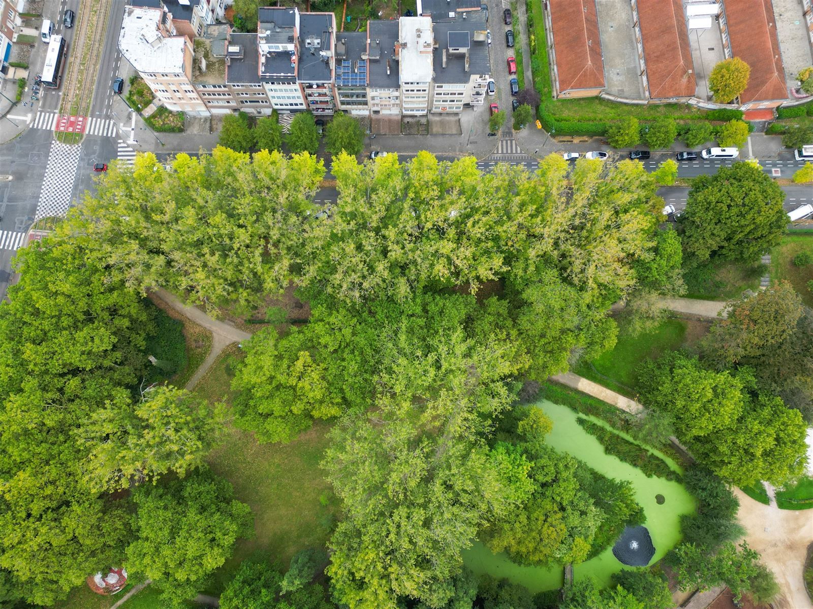 Lichtrijk appartement gelegen op de 5ᵉ verdieping met een prachtig uitzicht op het park foto 13