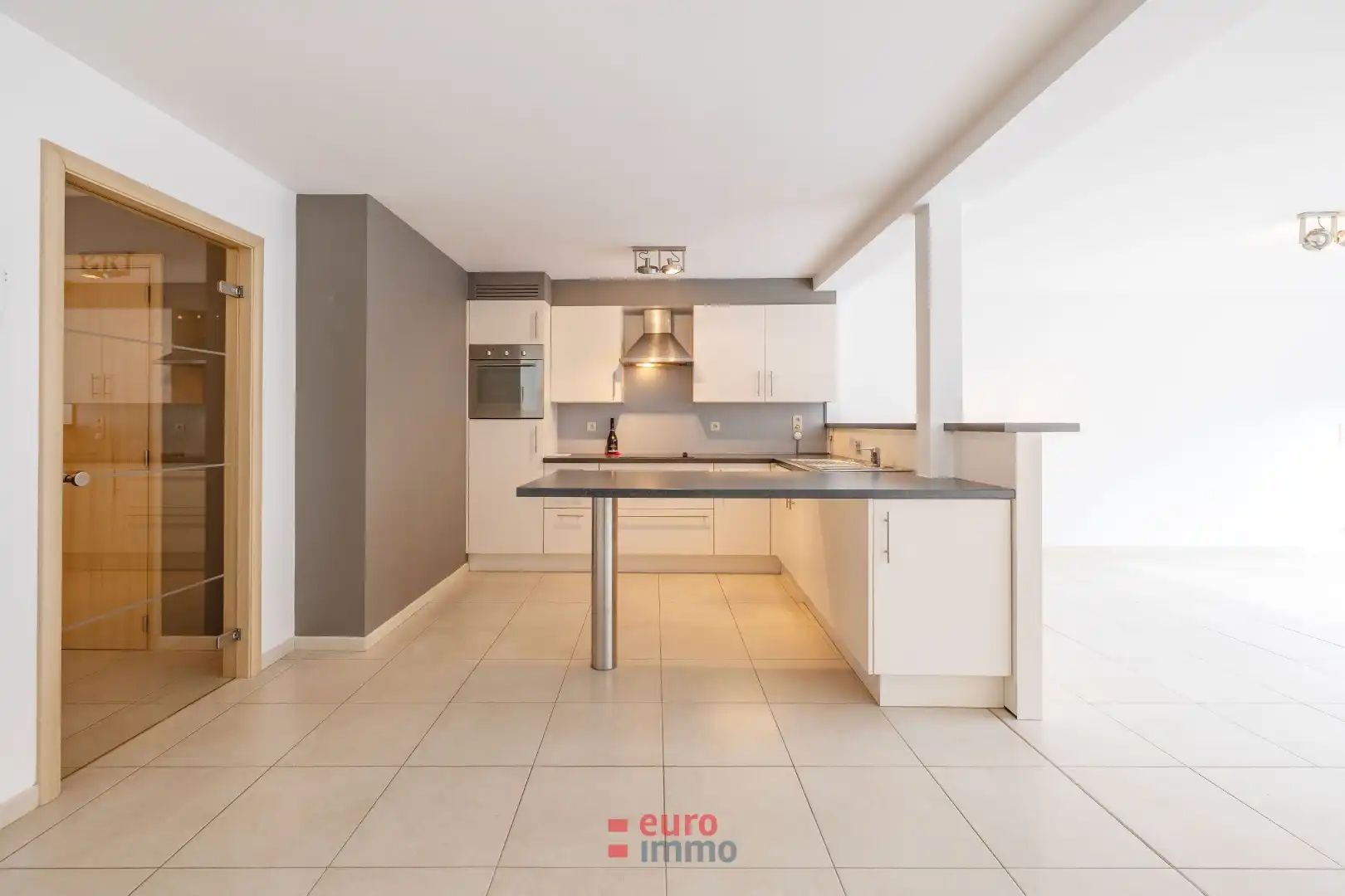 Zeer ruim en lichtrijk appartement met patio en stadskoer in hartje Nieuwpoort foto 6