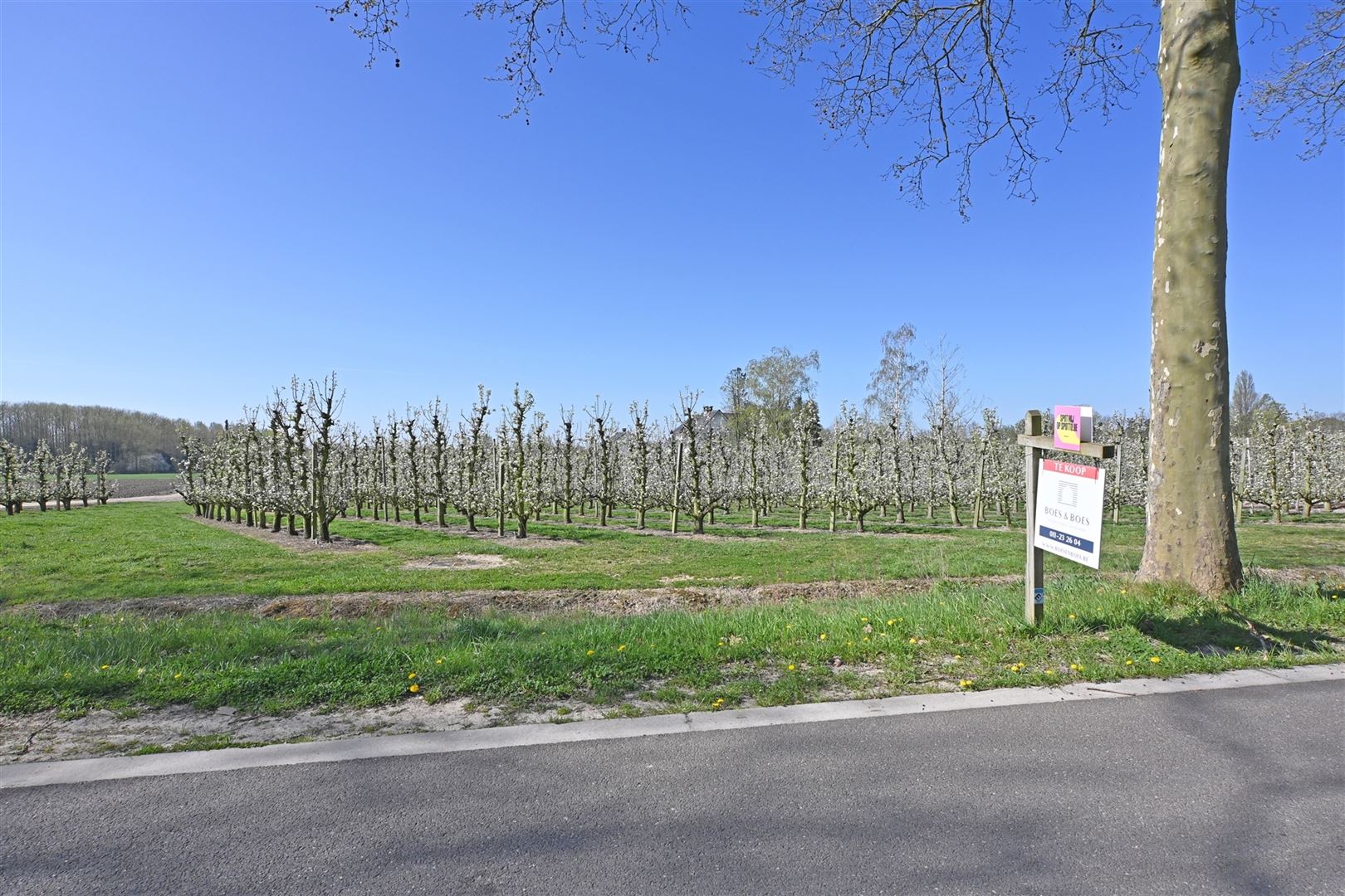Exclusieve zuidwest georiënteerde bouwgrond in residentiële straat foto 2