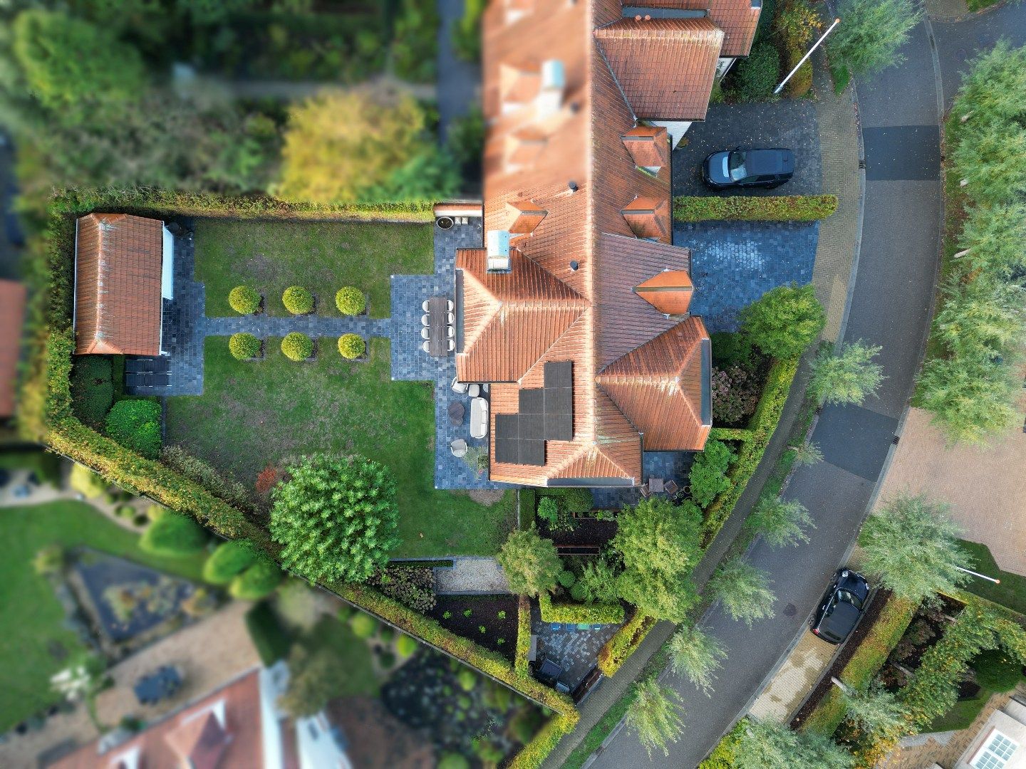 Chique Groenevelt foto 50