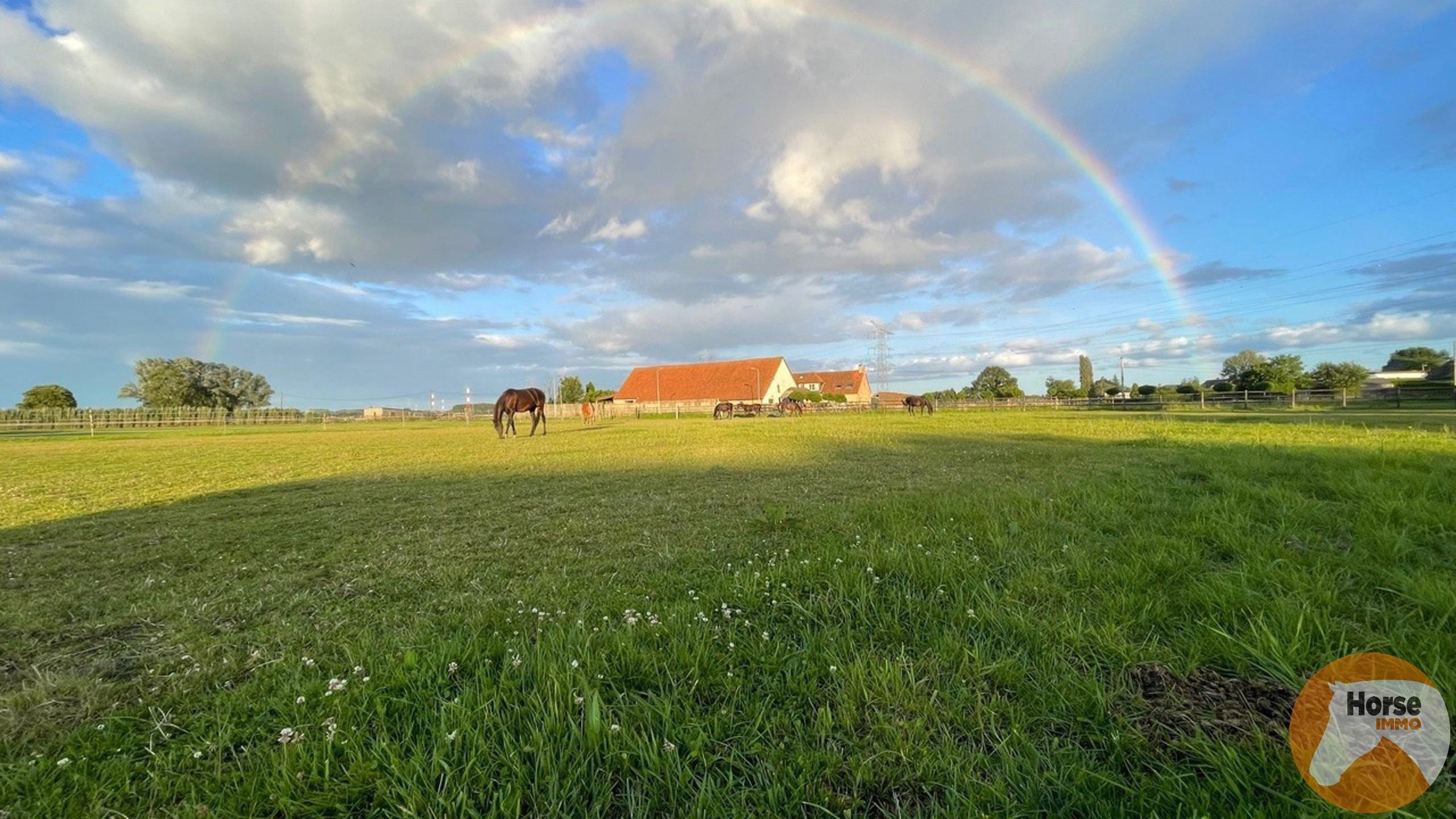 REET – 14 paardenstallen, buitenpiste en weides foto {{pictureIndex}}