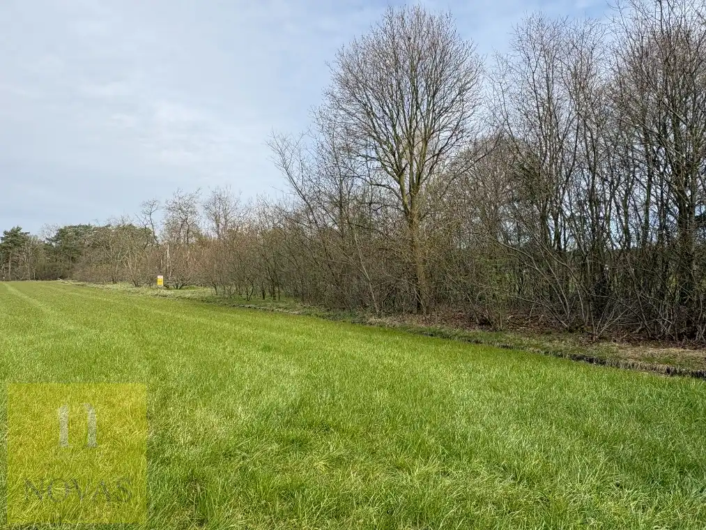 Landbouwgrond 37are 14ca op Gelderhorsten foto 5