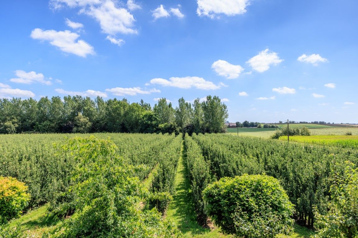 Prachtige, instapklare villa op een terrein van 35 are foto 5