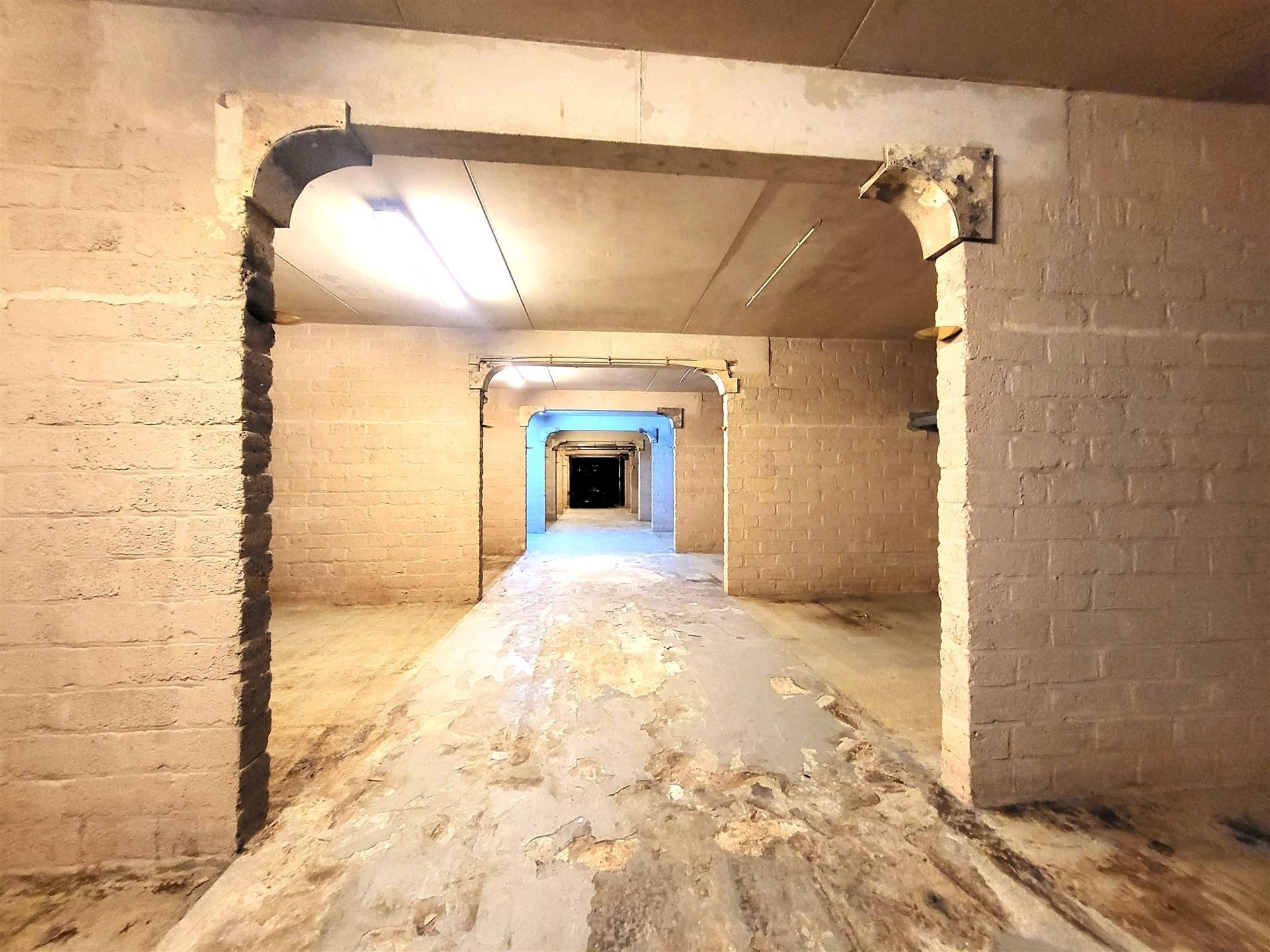 Villa met professionele opslagruimte, kelder en kantoorruimtes. foto 59