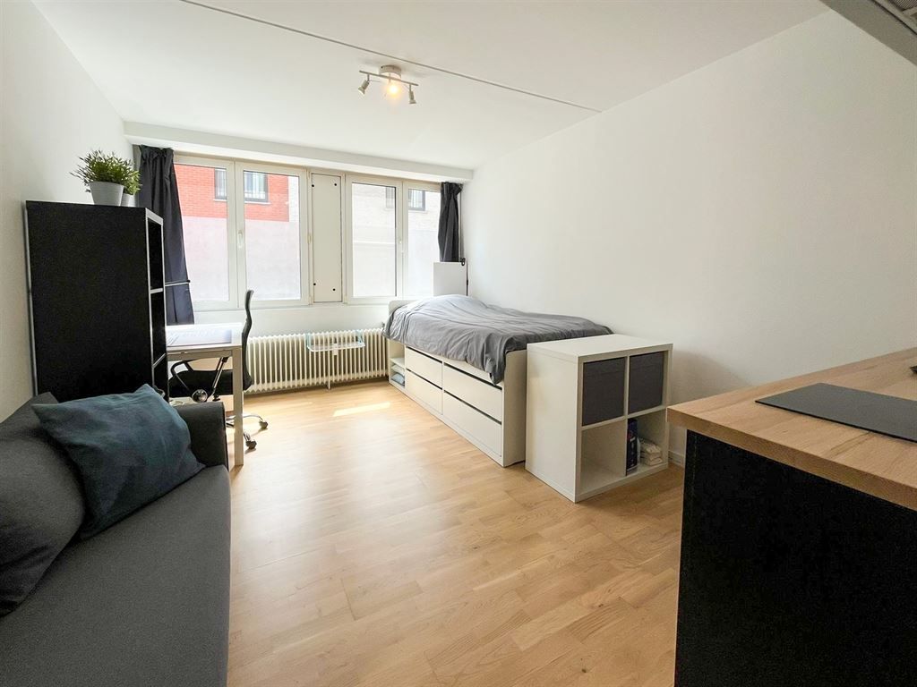 Gerenoveerde gelijkvloerse studio in hartje Leuven! foto 4
