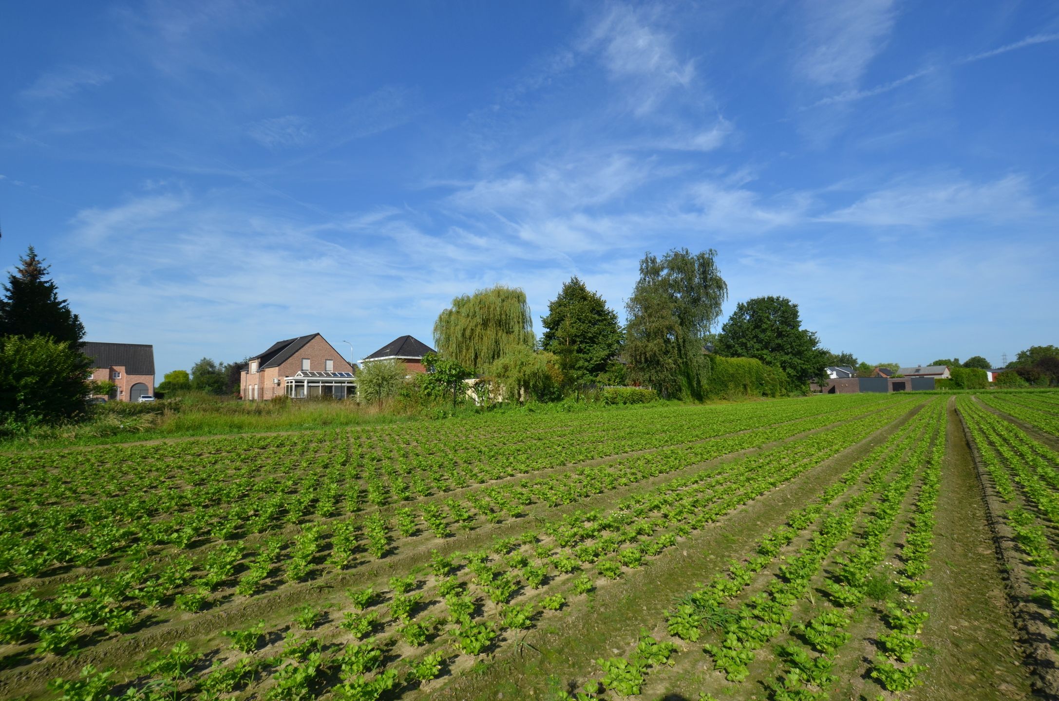 Mooi perceel bouwgrond voor een open bebouwing foto 9