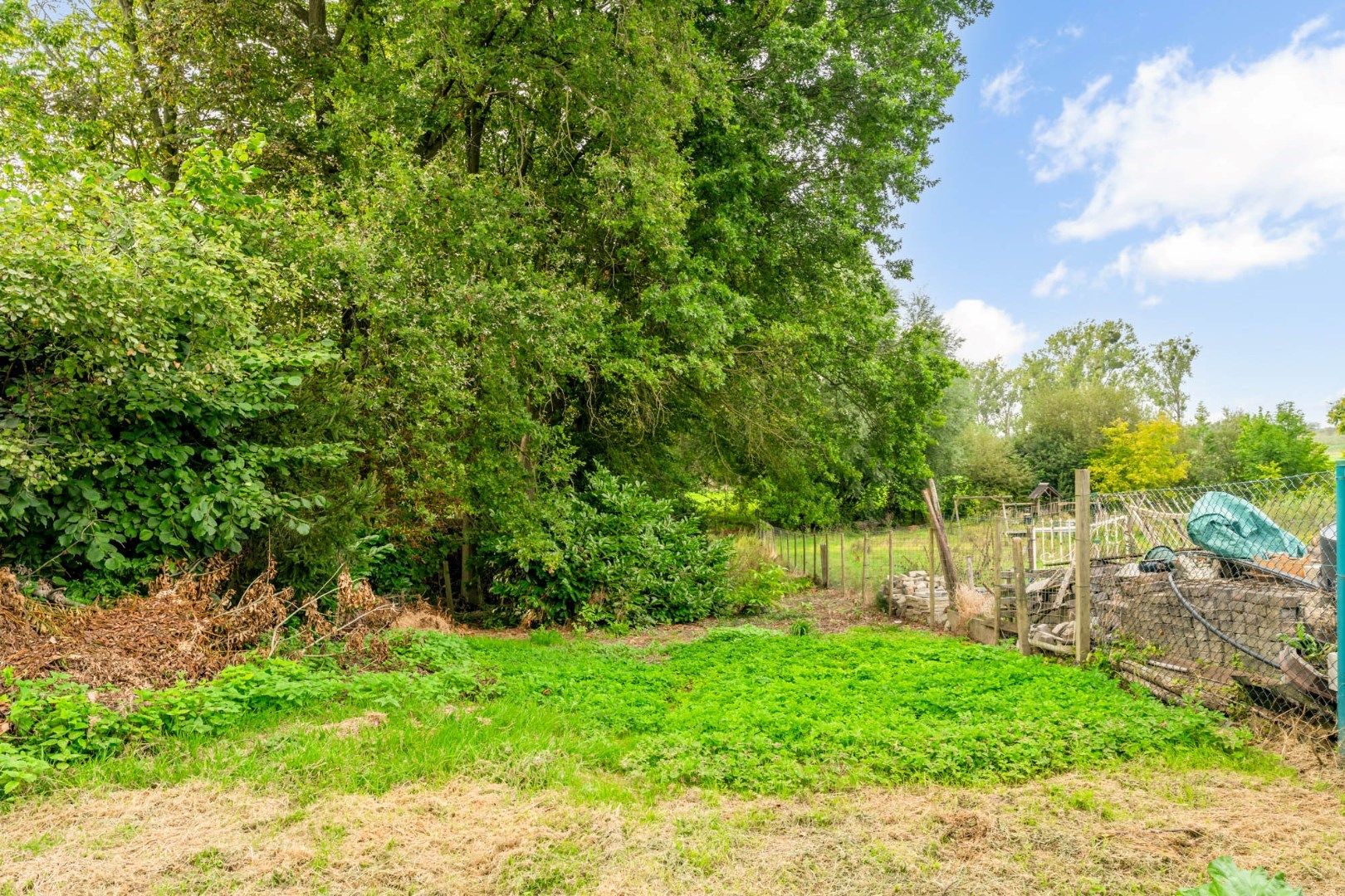 Te renoveren halfvrijstaande woning met bijzonder ruime en weelderige tuin op 10a 82ca foto 28