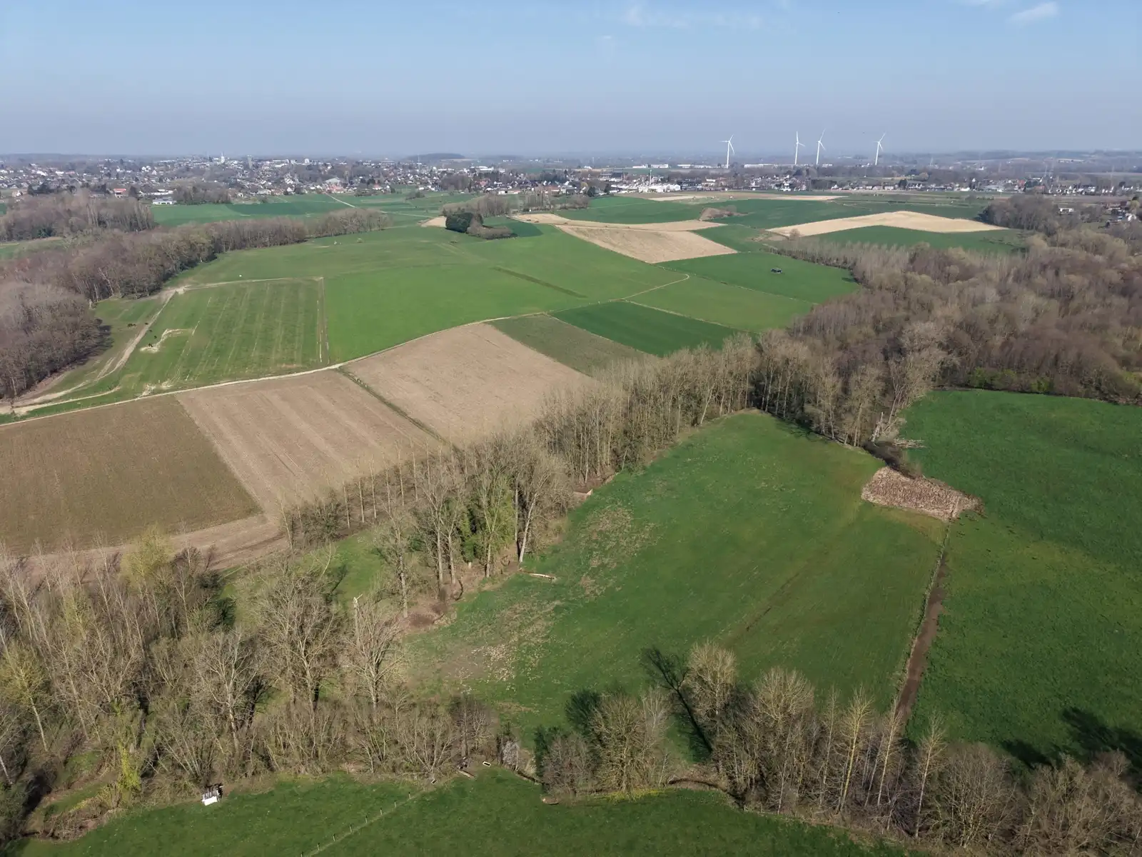 Goed gelegen landbouwgrond van 2,3 hectare  foto 5
