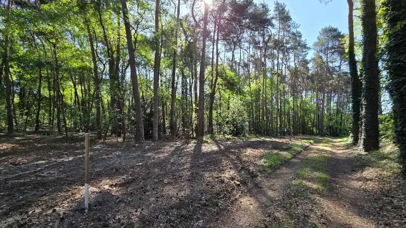 Residentieel gelegen bouwgrond van 31 are met 37 are bosgrond nabij golf- en meerdomein foto 2
