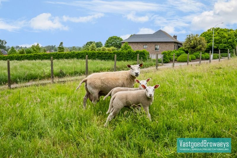 Authentieke hoeve met veel potentieel voor cohousing of creatieve invulling foto 17