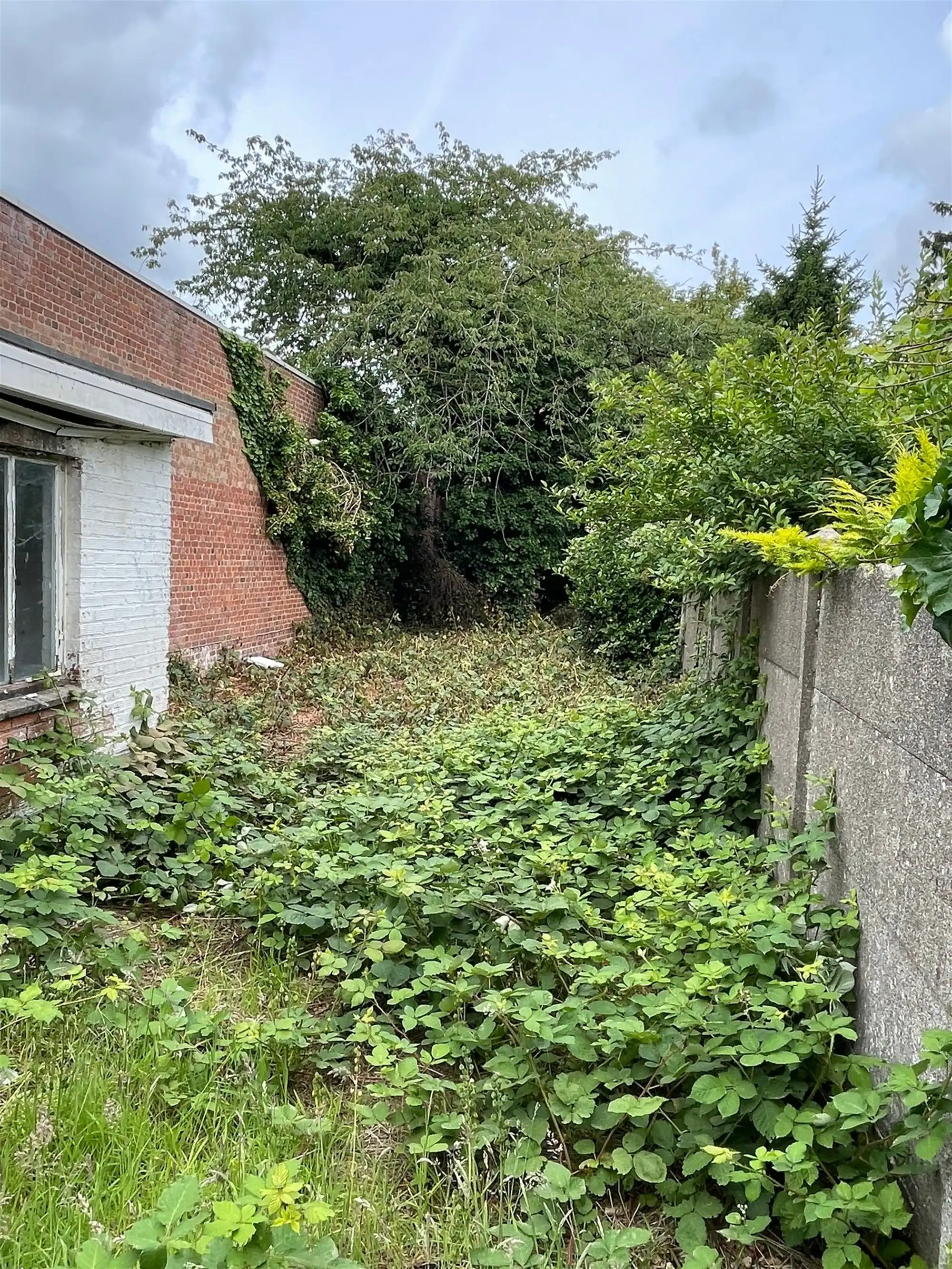 Huis foto 21