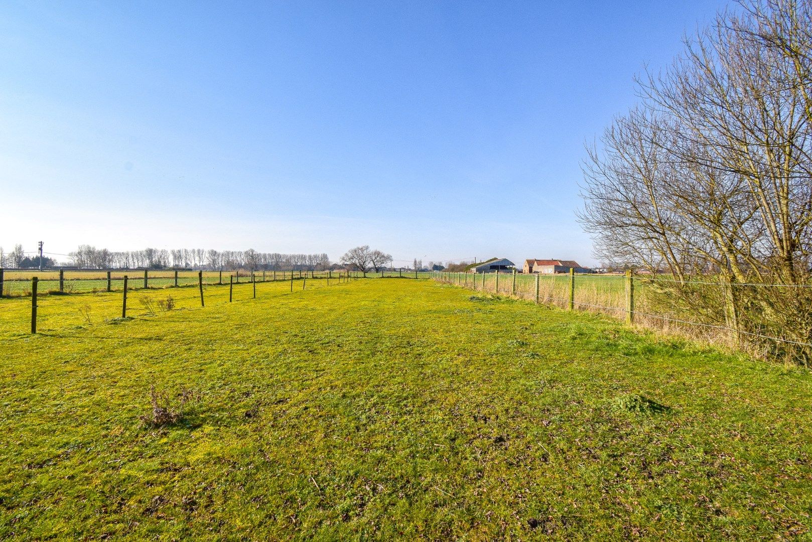  Mooi perceel weiland (2920 m²) met bijhorende paardenstalling op landelijke ligging te Westende foto 3