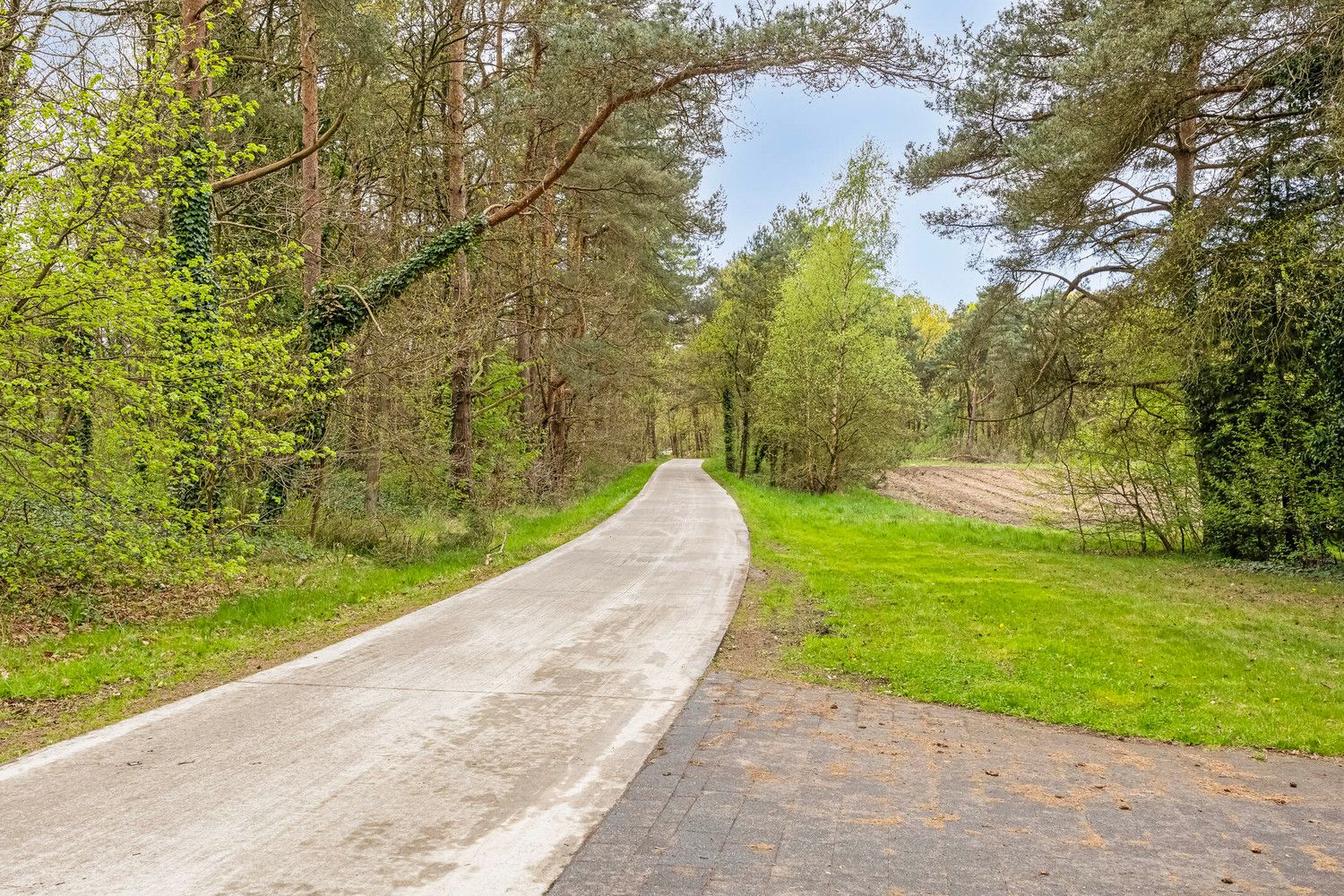 Idyllisch gelegen landhuis in een oase van rust te Lommel foto 41