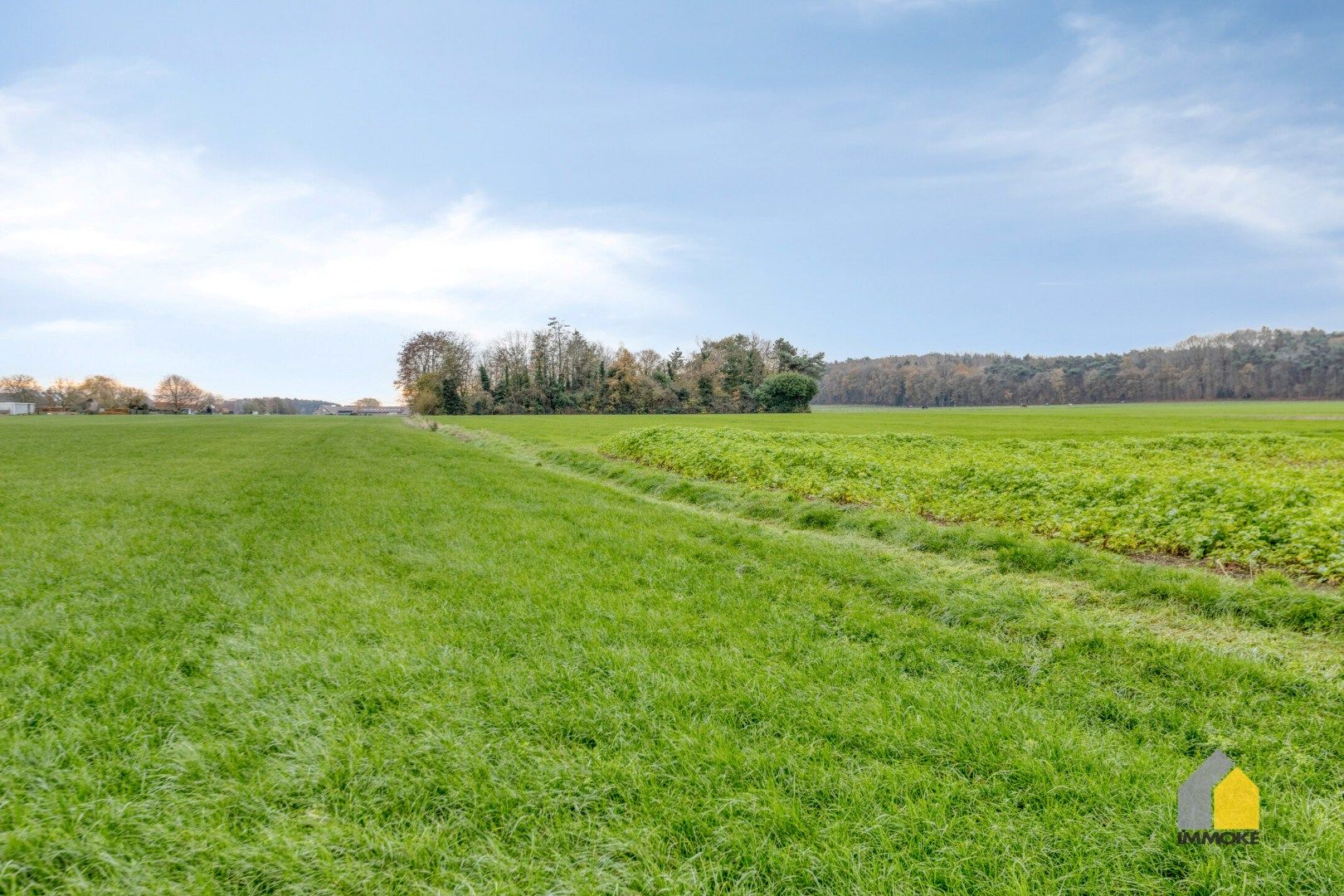 Halfvrijstaande nieuwbouwwoning op 3a 70ca met 3 slpk. foto 22