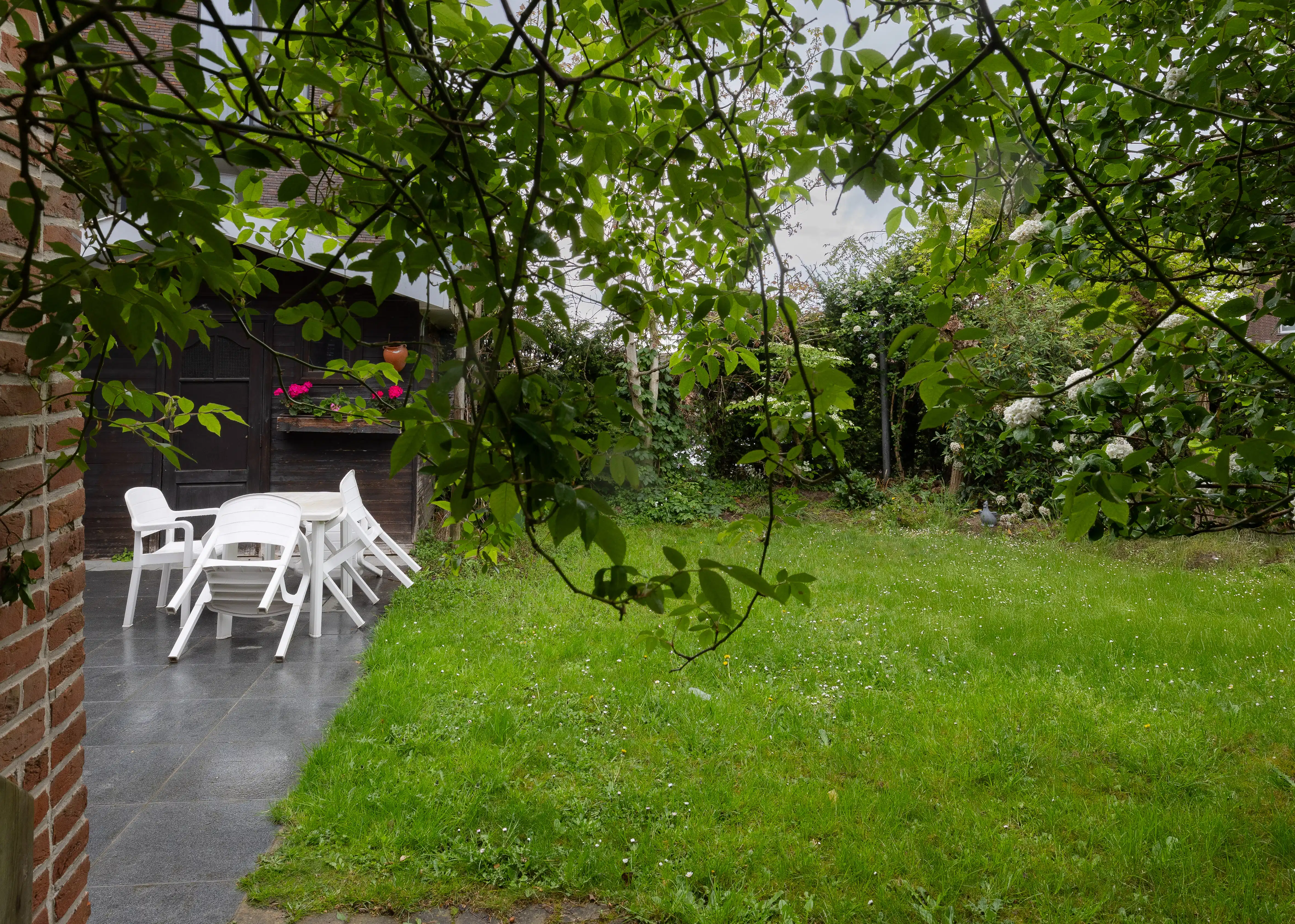 5 woonentiteiten en loods foto 3