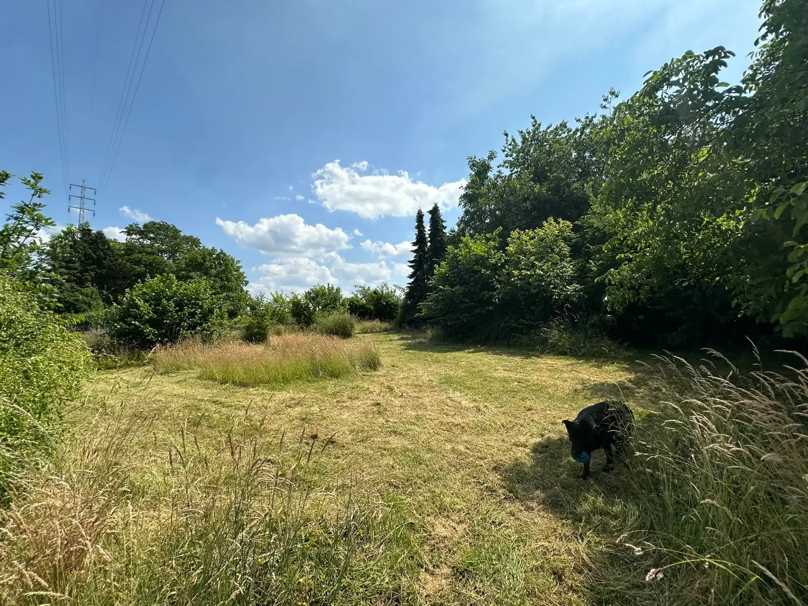 Commerciële ruimte te koop Sint-Truidensesteenweg 673 - 3300 Tienen Hakendover