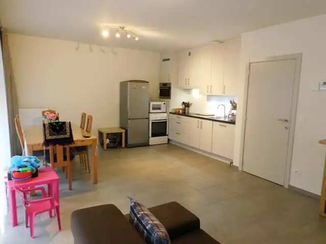 Gelijkvloers appartement in het centrum met autostaanplaats foto 3