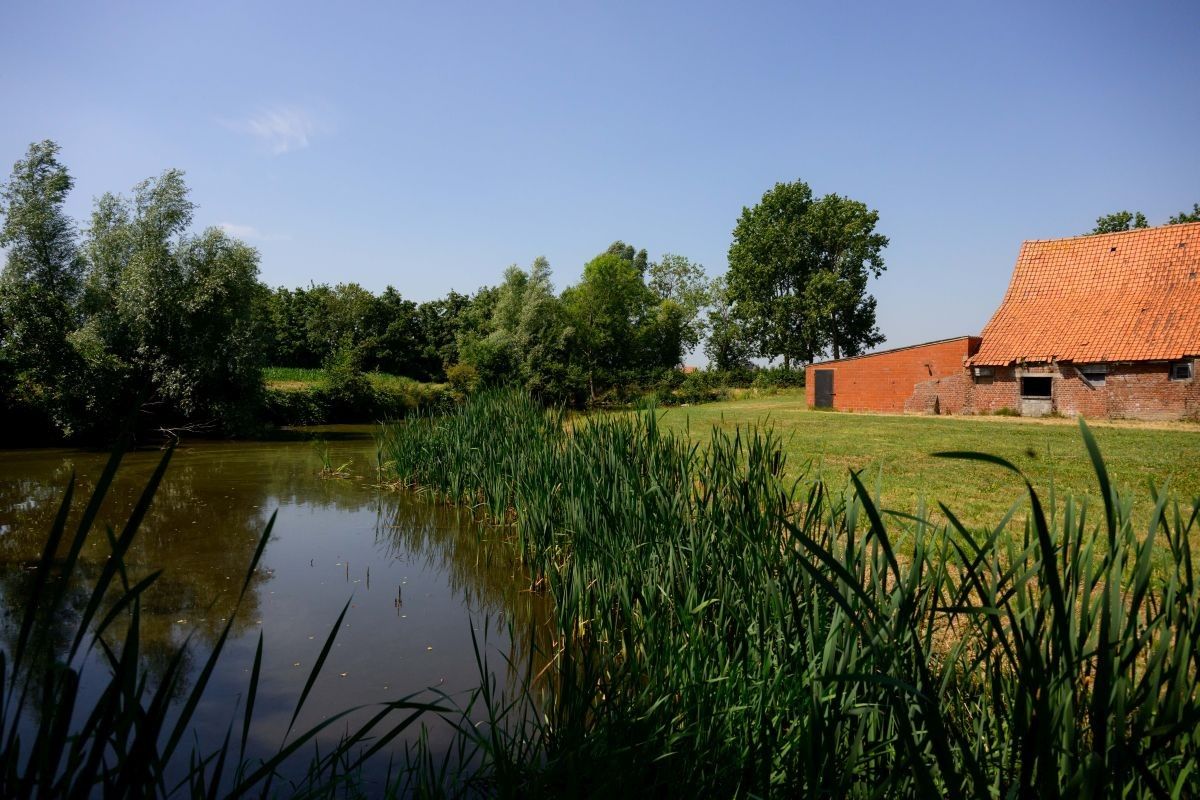 Zeer mooi gelegen hoeve met aanpalende landbouwgronden te koop te West-Vleteren foto 10