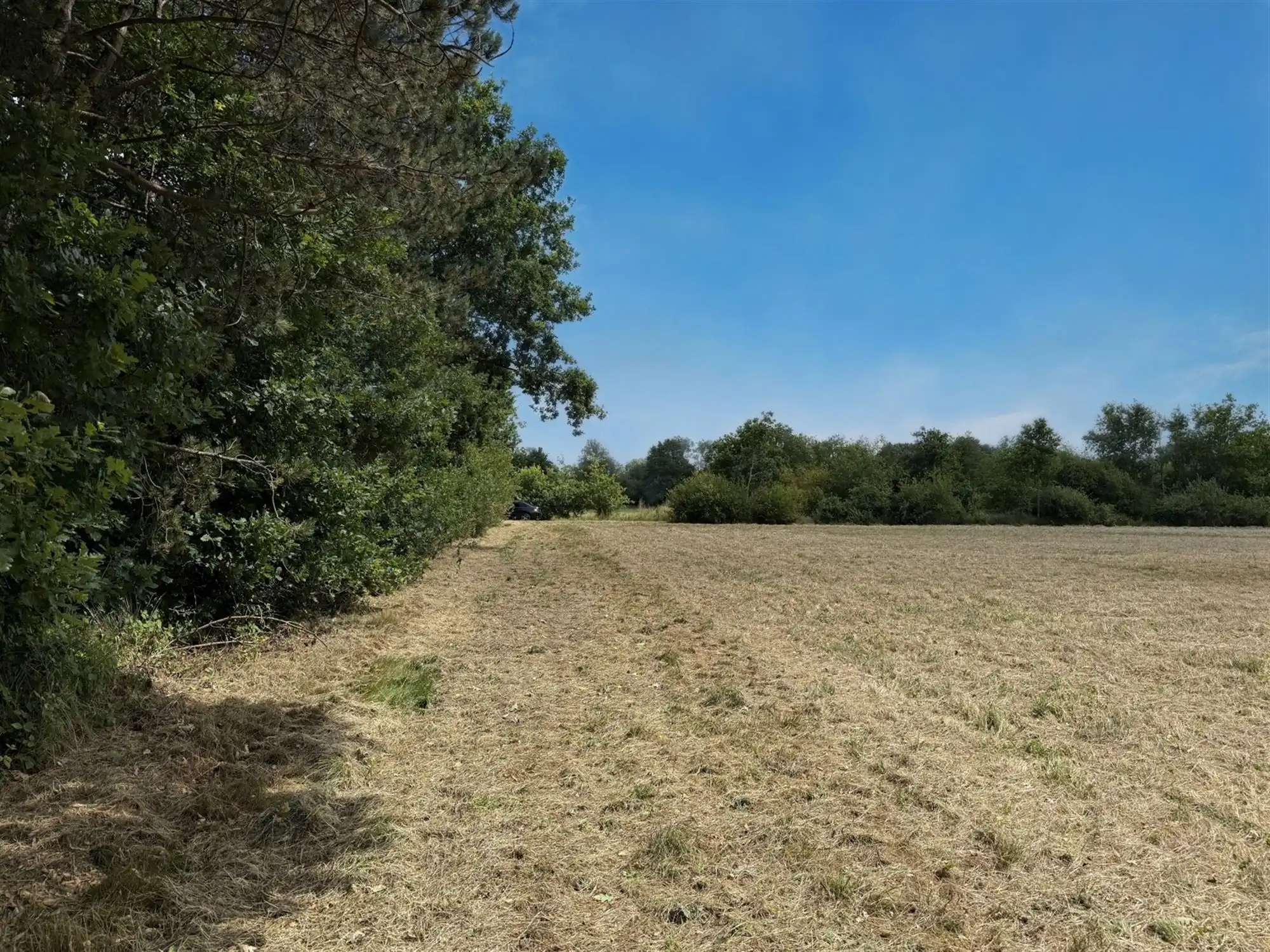 Landbouwgrond te koop in Schriek! foto 5