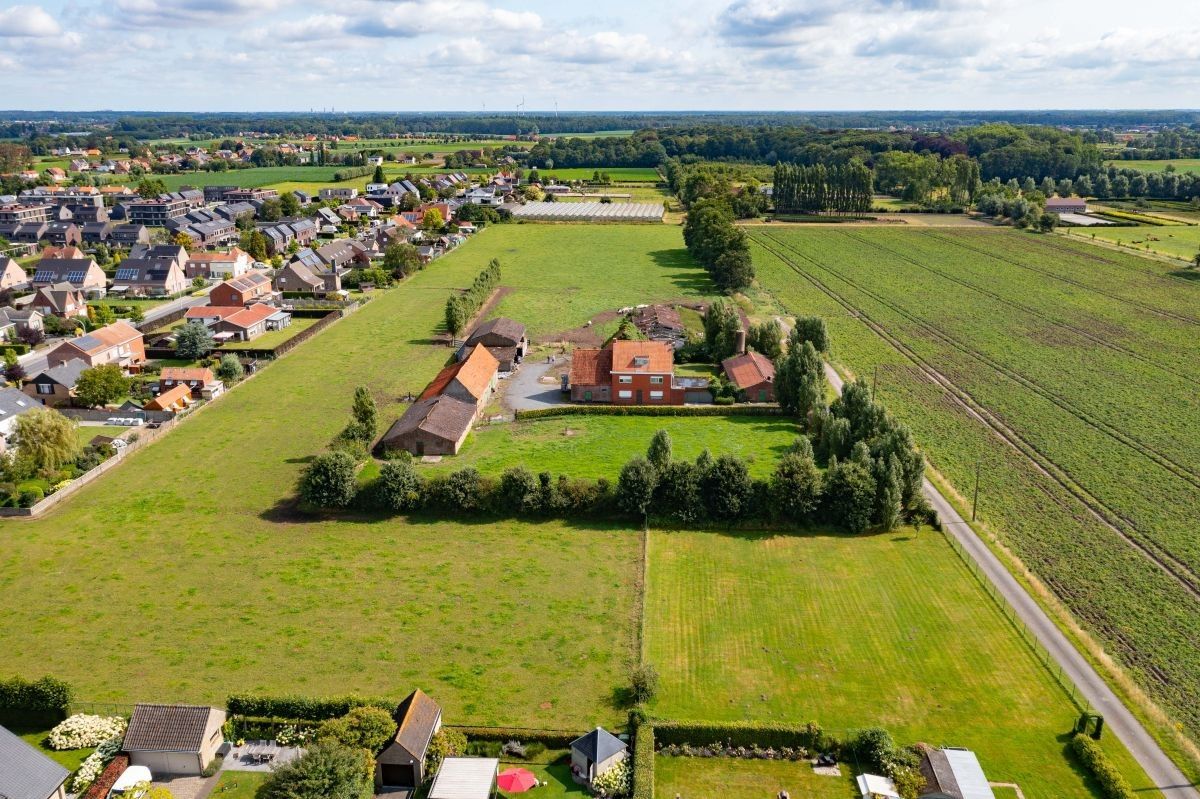 Nabij dorpskern gelegen hoeve te koop te Veldegem foto 3